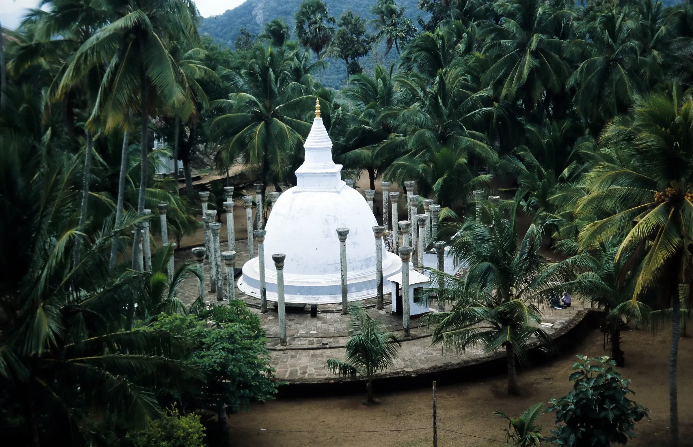 The white Ambasthala Dagoba among palm trees at Mihintale, near Anuradhapura