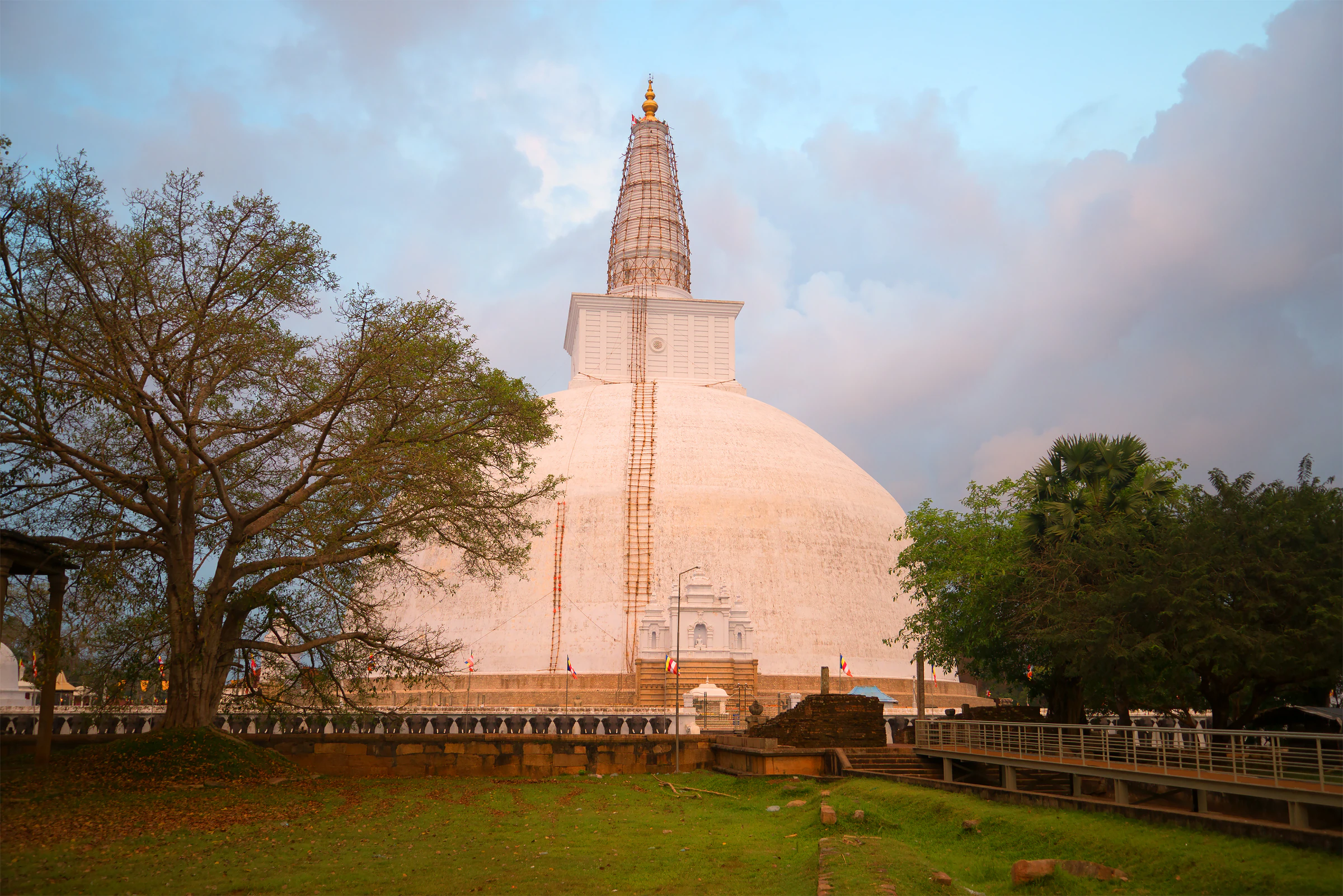 The white Ruwanwelisaya stupa rising above the trees in Anuradhapura