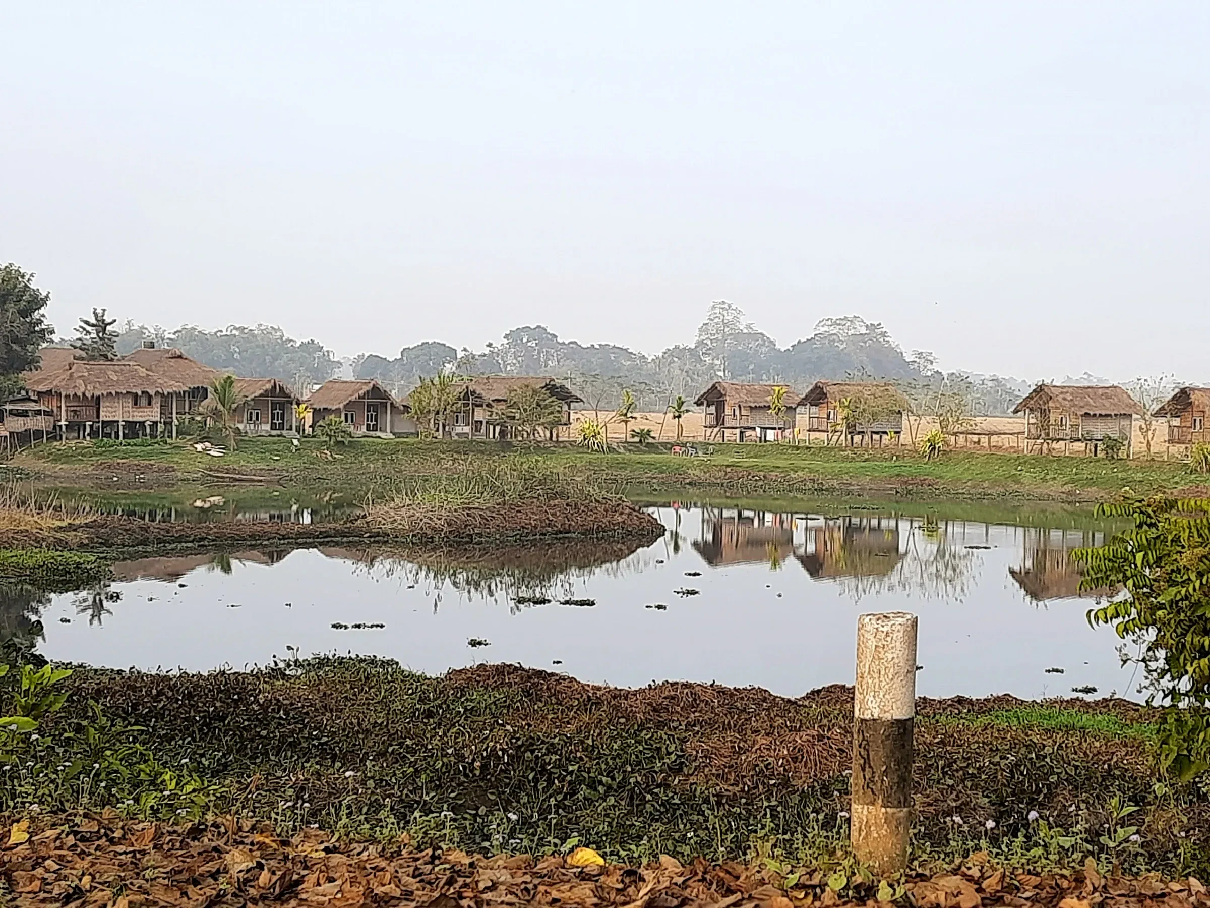 Mising stilt houses beside a pond on Majuli island