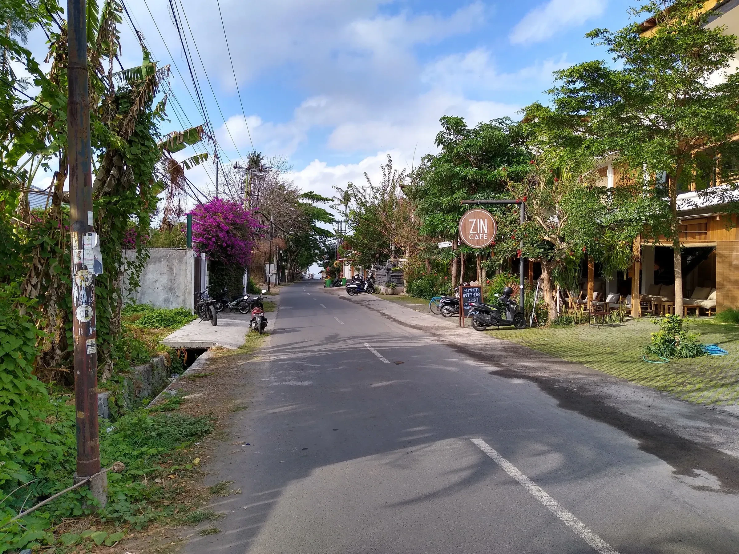 A quiet tree-lined street in Canggu, Bali