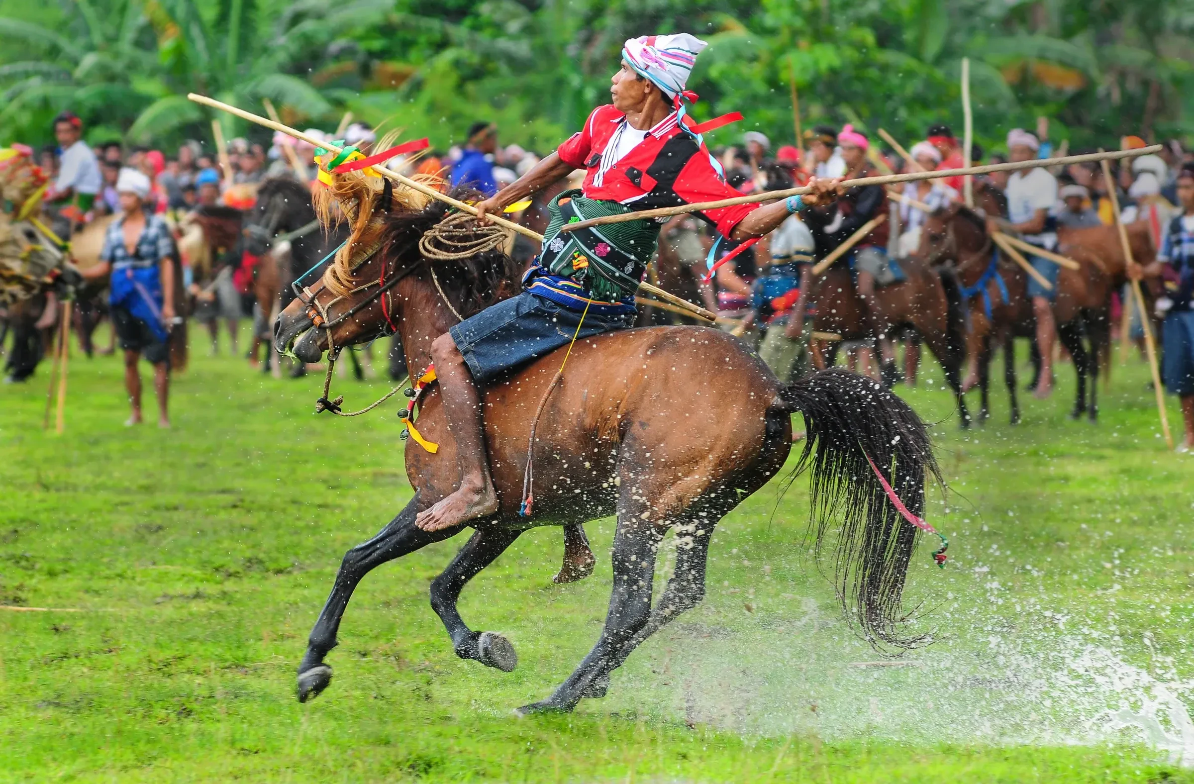 A Pasola rider galloping across a field on Sumba with a spear, other riders gathered behind him