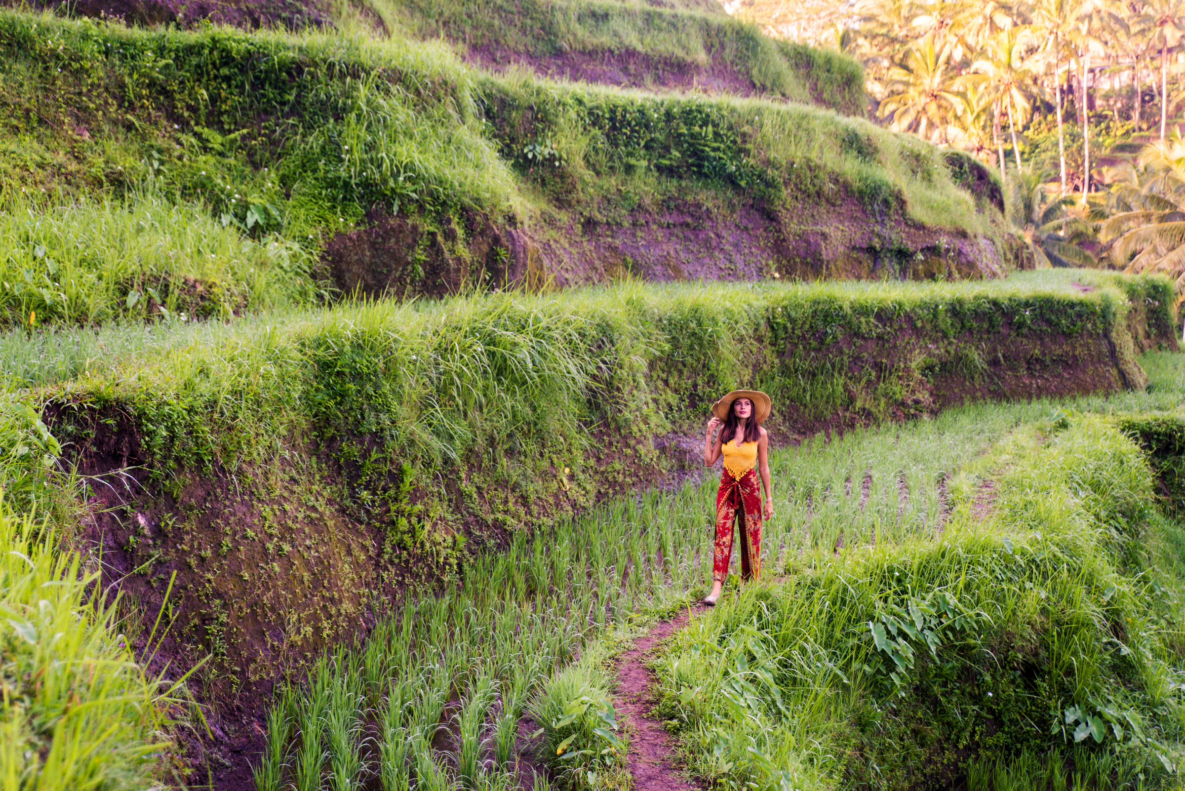 A woman walking through Bali's terraced rice fields near Ubud