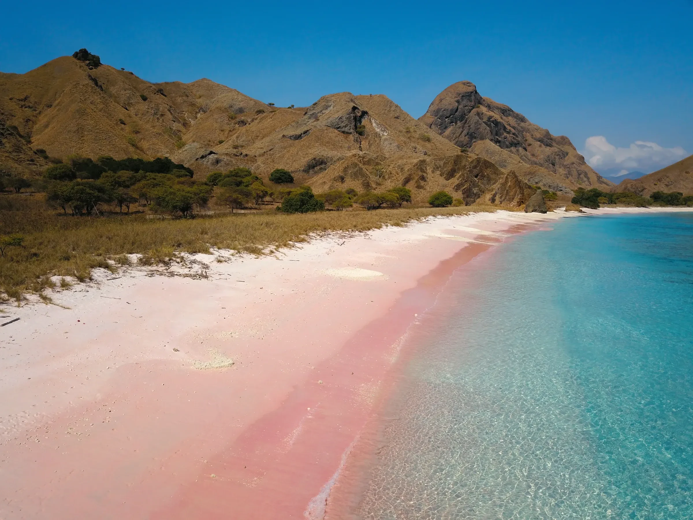 Pink Beach on Komodo Island, with pale pink sand, clear water and dry hills behind