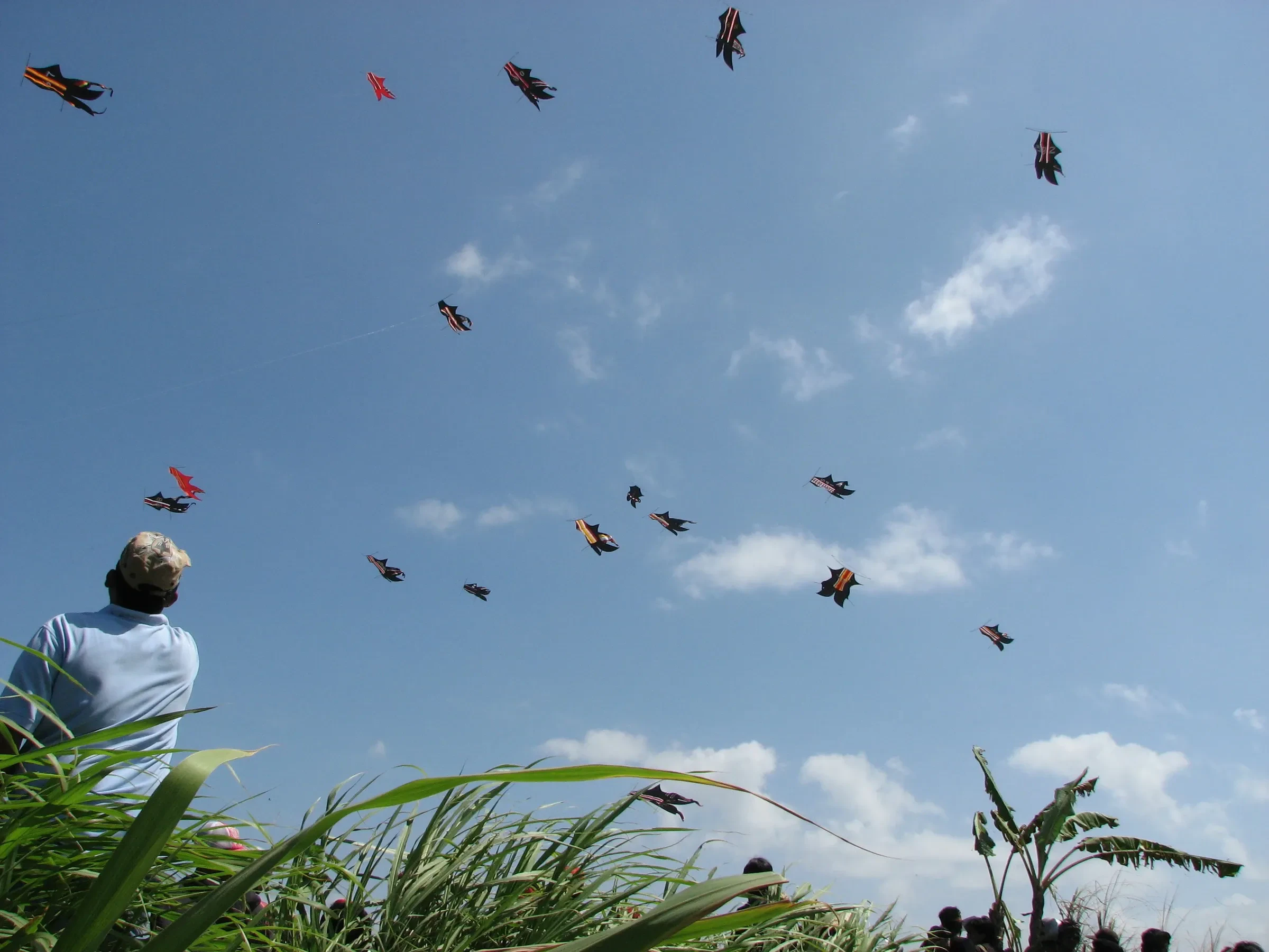 Kites flying over the open ground at Padang Galak, Denpasar