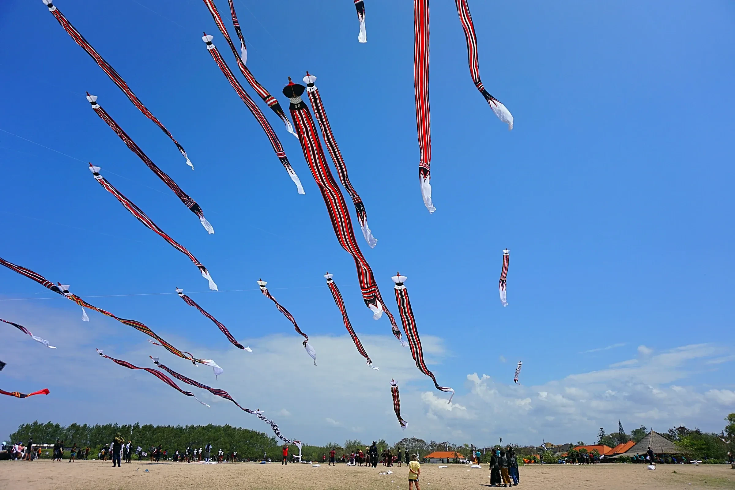 Bali Kite Festival: dates and where to watch