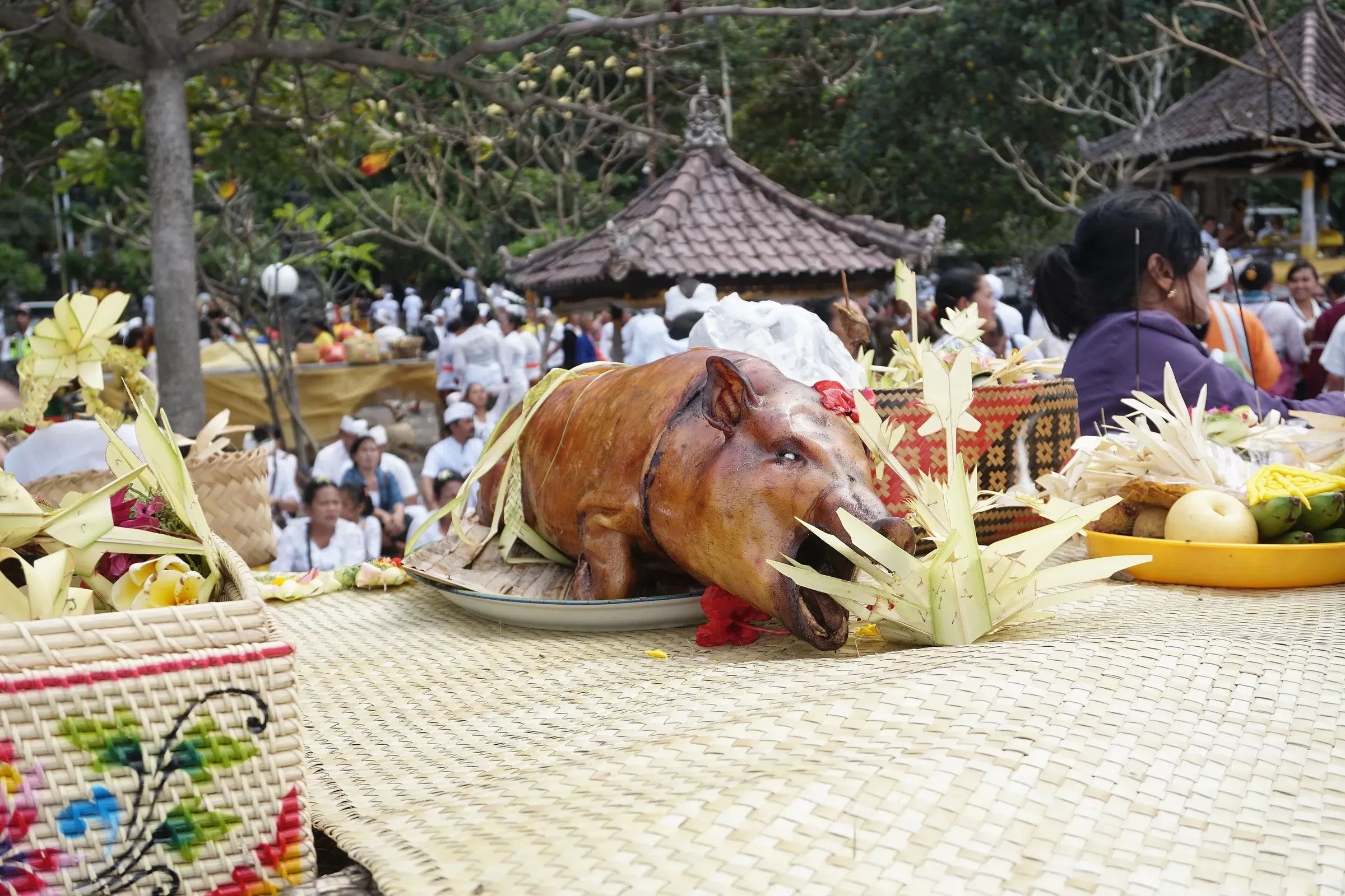 A roast pig among offerings at a Balinese ceremony