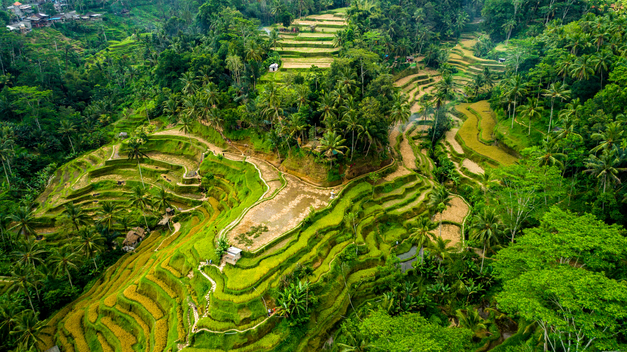 Bali vs Thailand: beaches, cost, food and which to pick