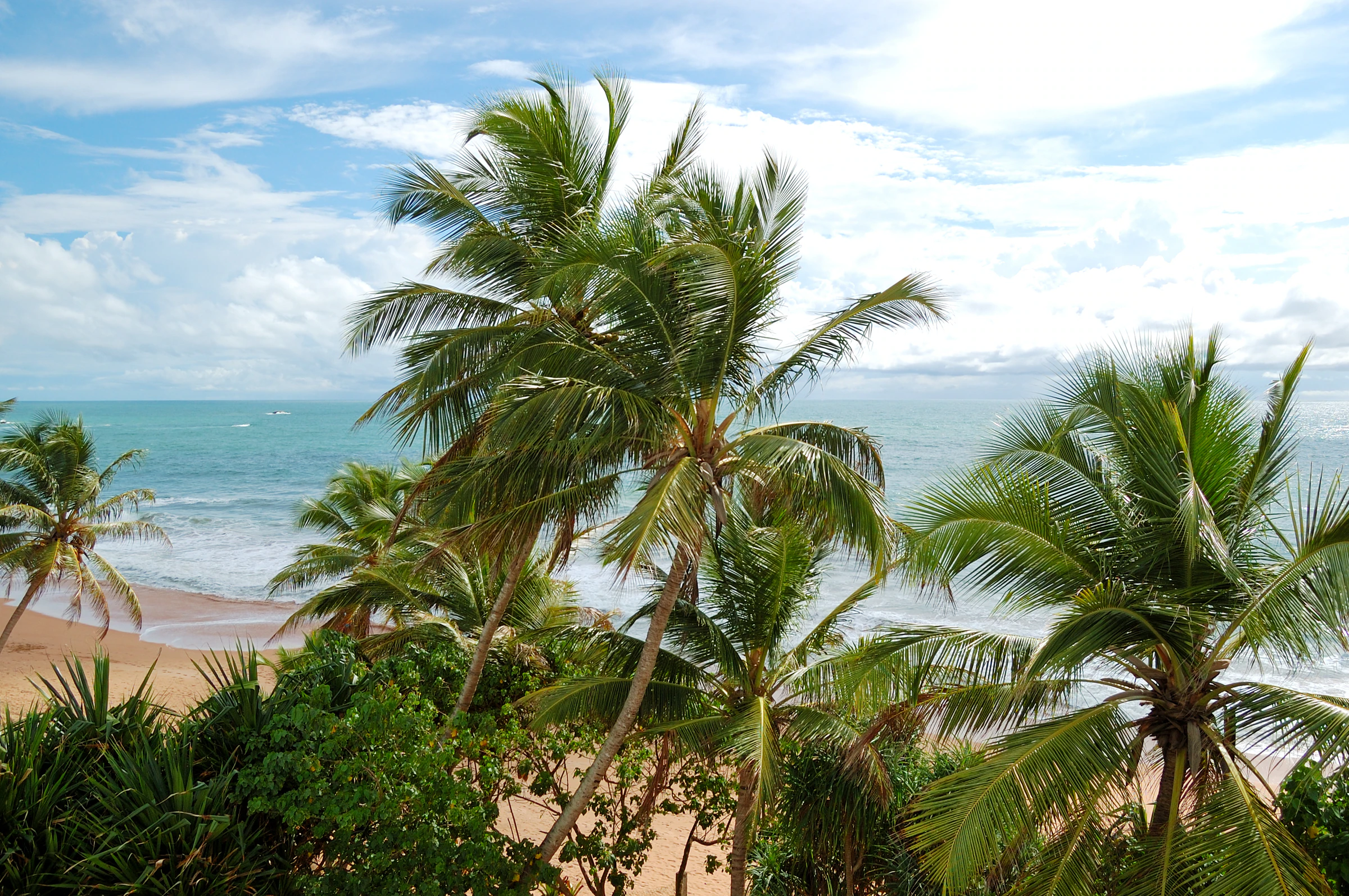 Palm trees above a sandy beach and turquoise sea at Bentota