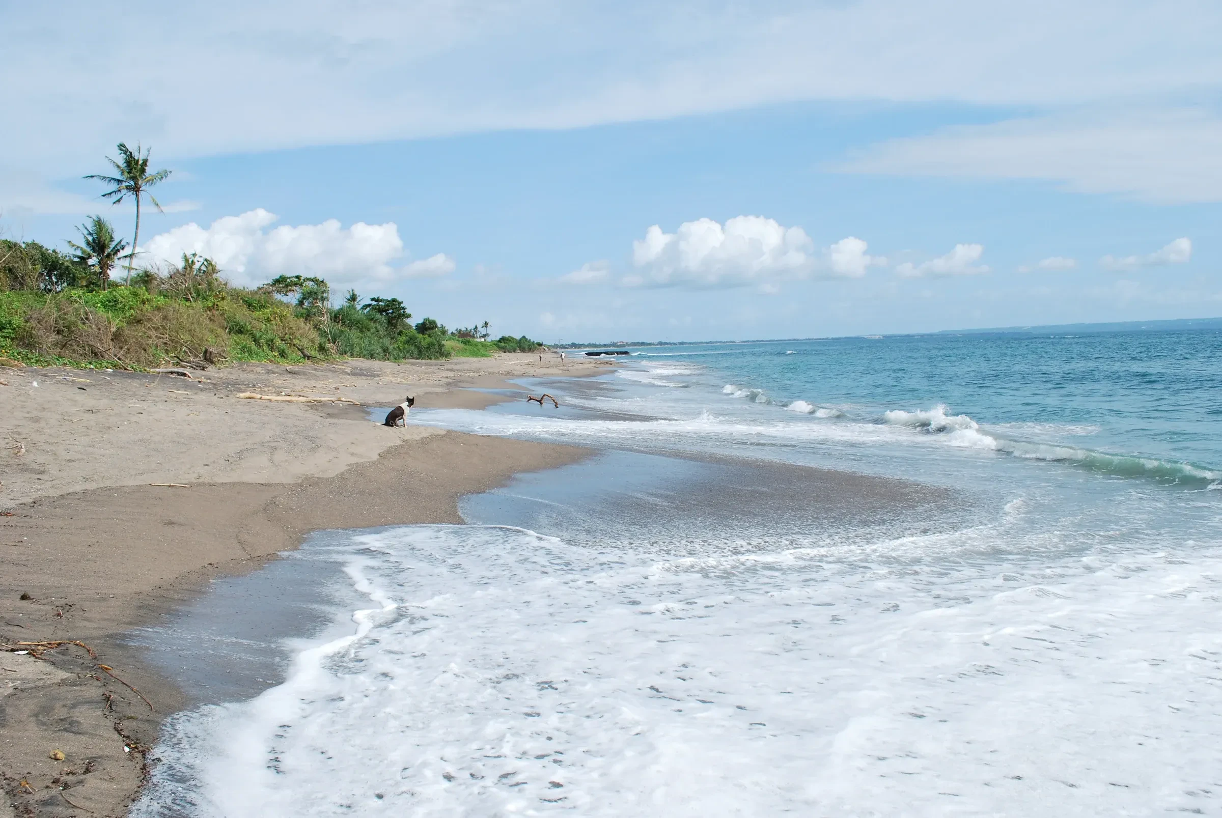 A wave washing up a sandy beach at Canggu, Bali, with palm trees behind