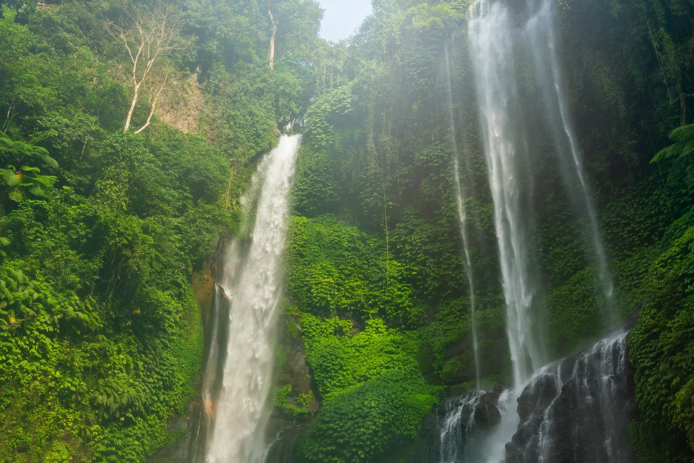 Sekumpul waterfall falling through green jungle in northern Bali