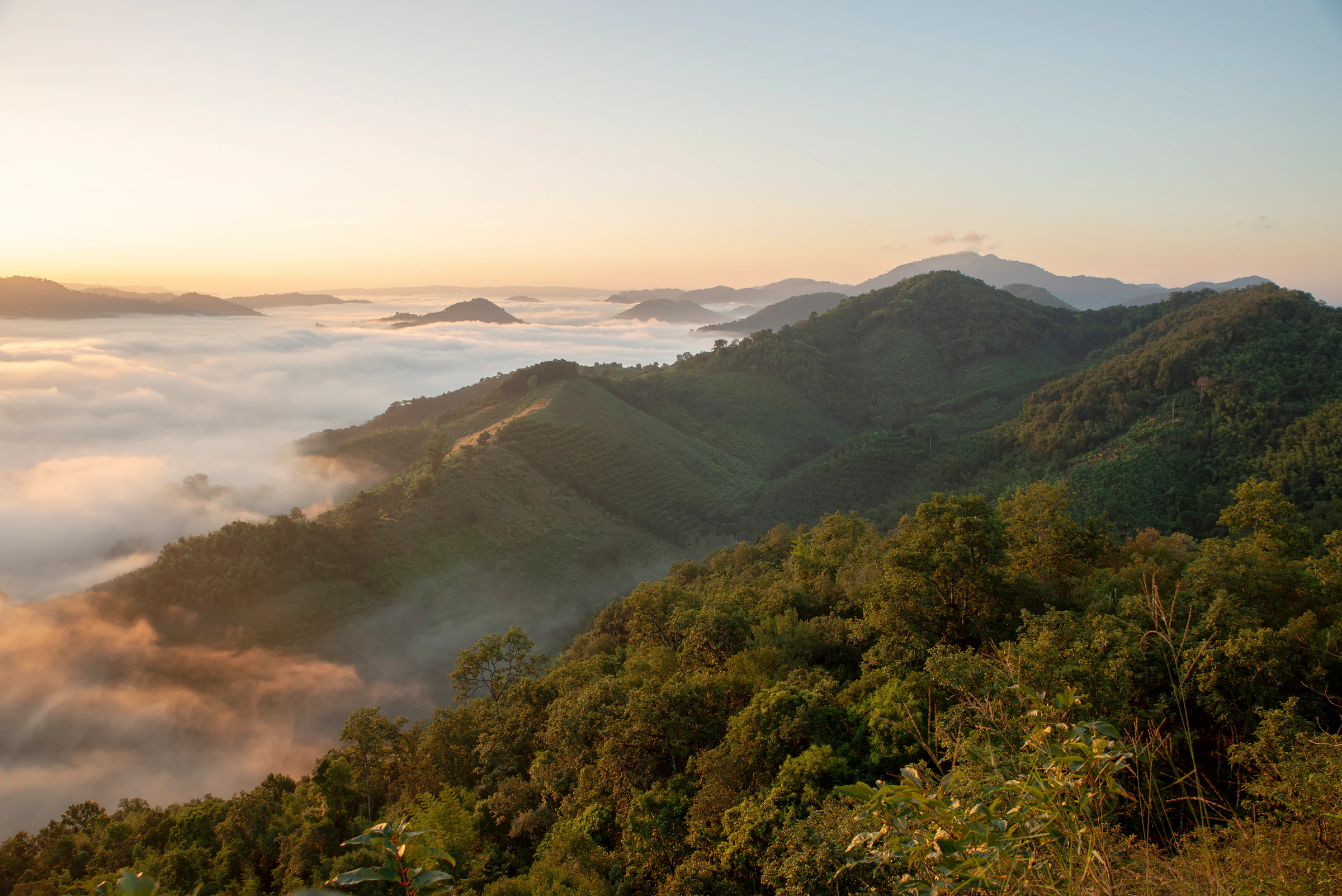 Morning mist over the hills of northern Thailand in the cool season