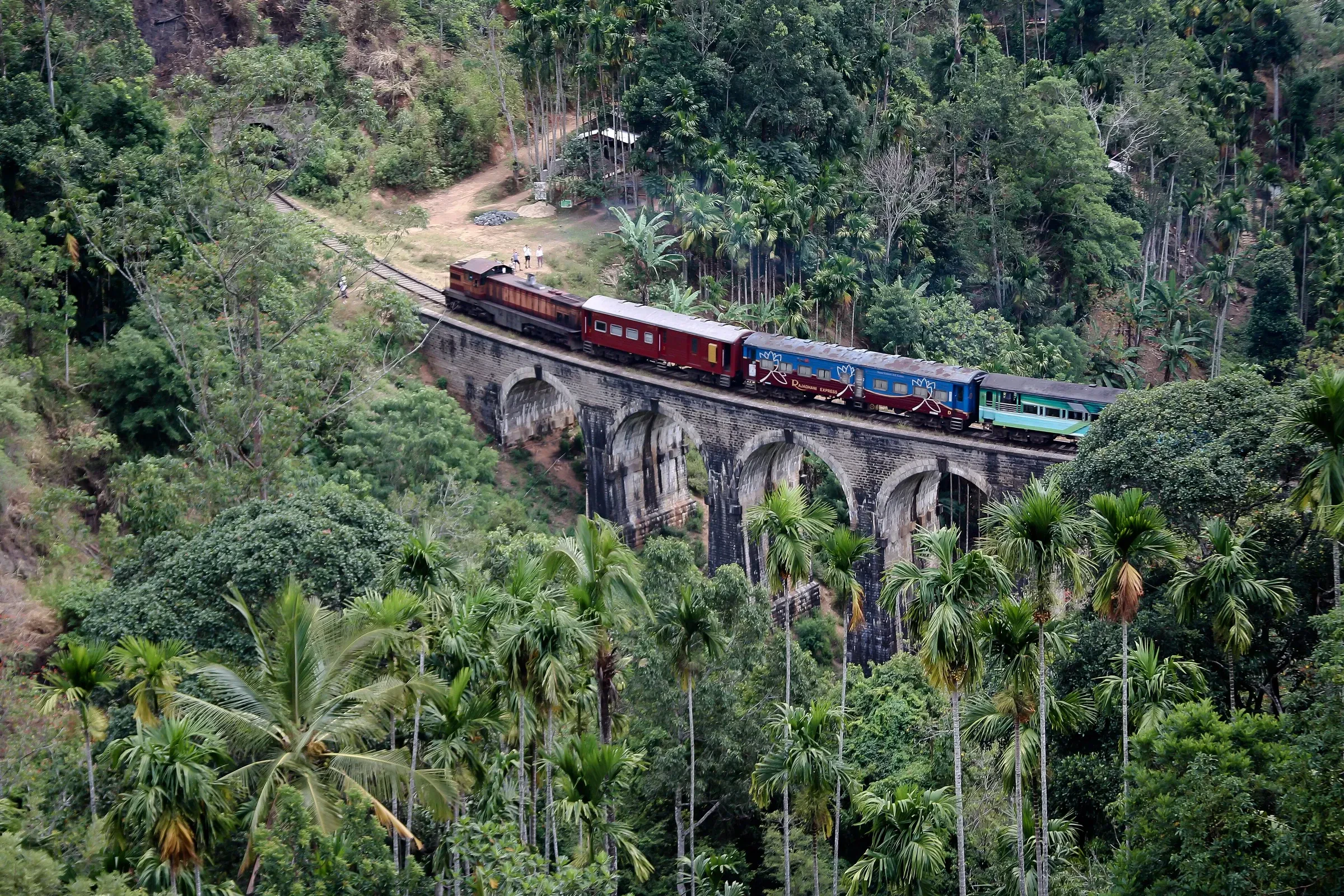 A train crossing Nine Arches Bridge, with jungle and palms around the viaduct