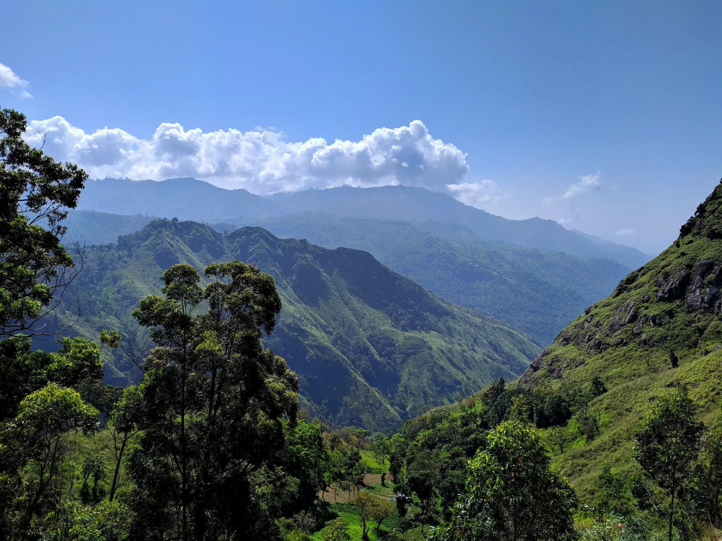 The view across forested ridges and valleys from the Ella Rock hike