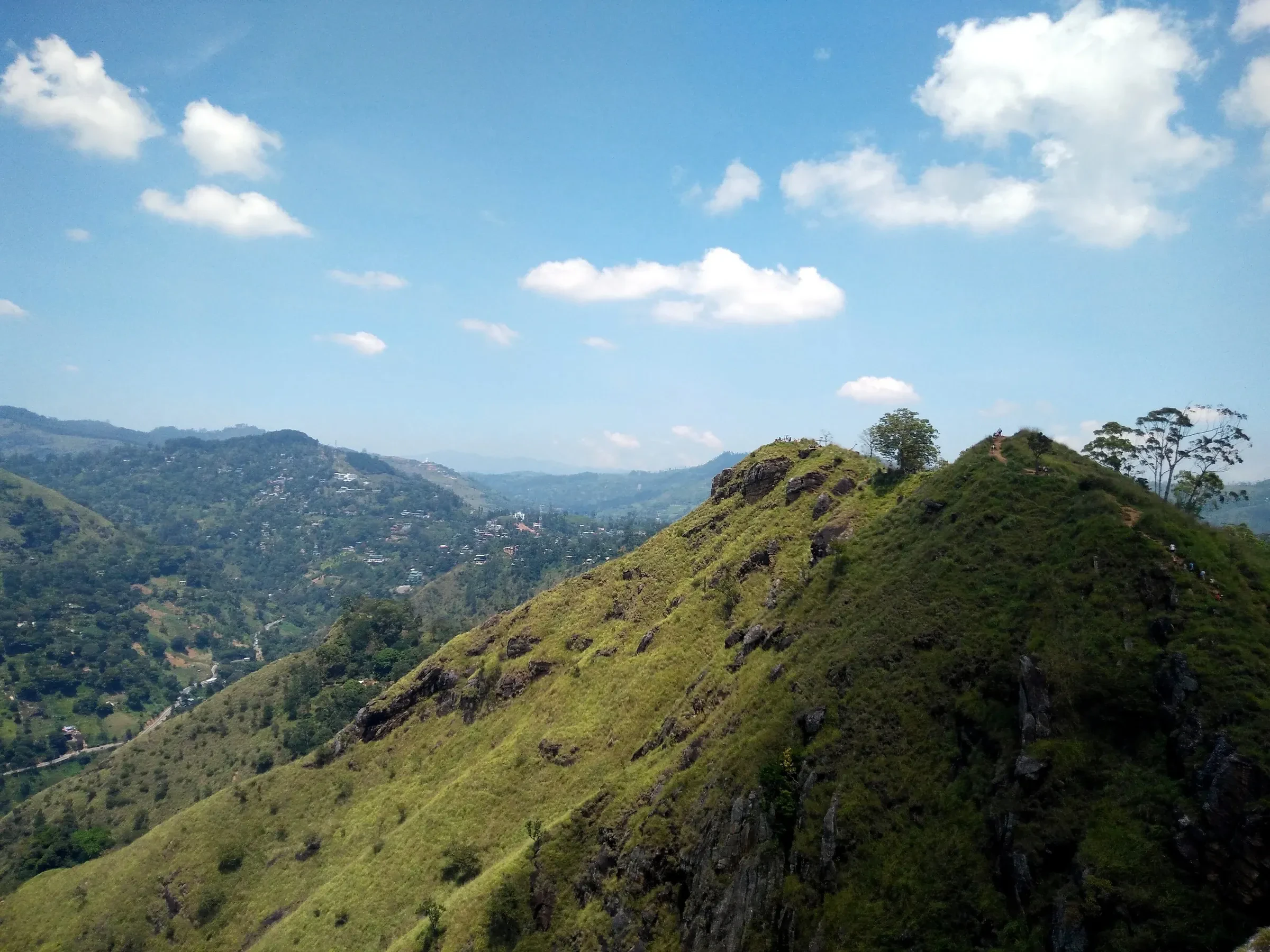 The grassy summit of Little Adam's Peak with the Ella valley behind it