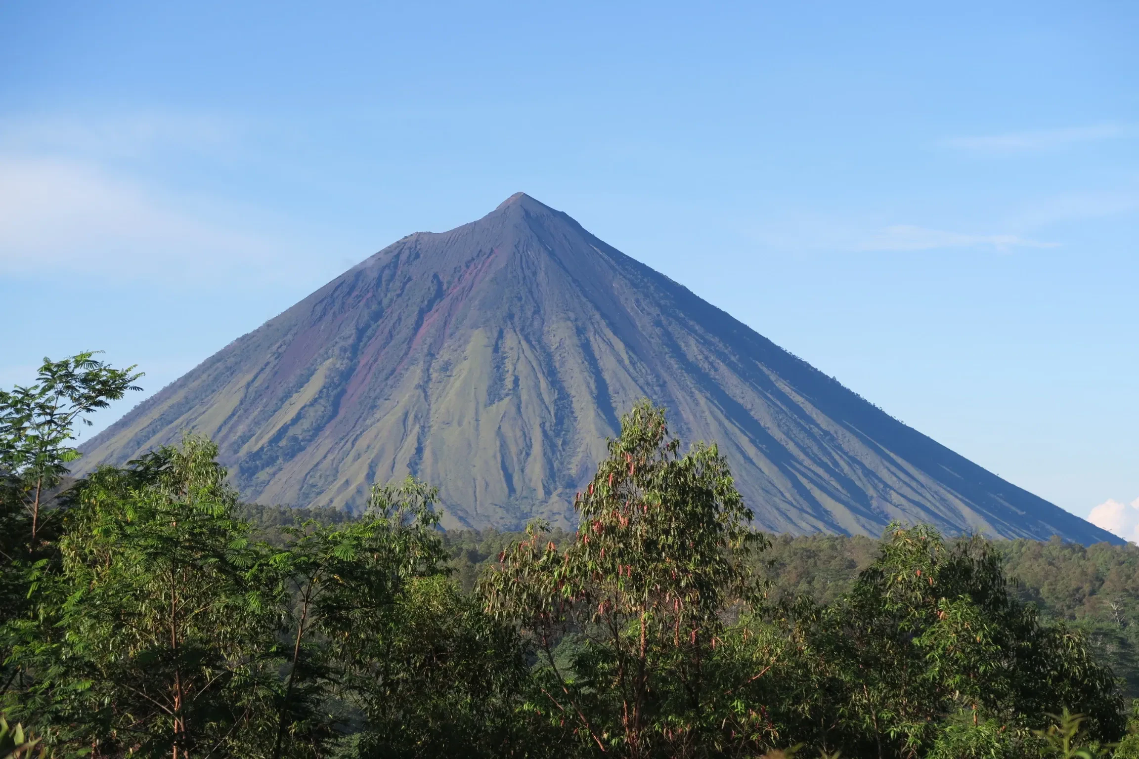 Komodo and Flores: 1 week or 10 days from Labuan Bajo overland