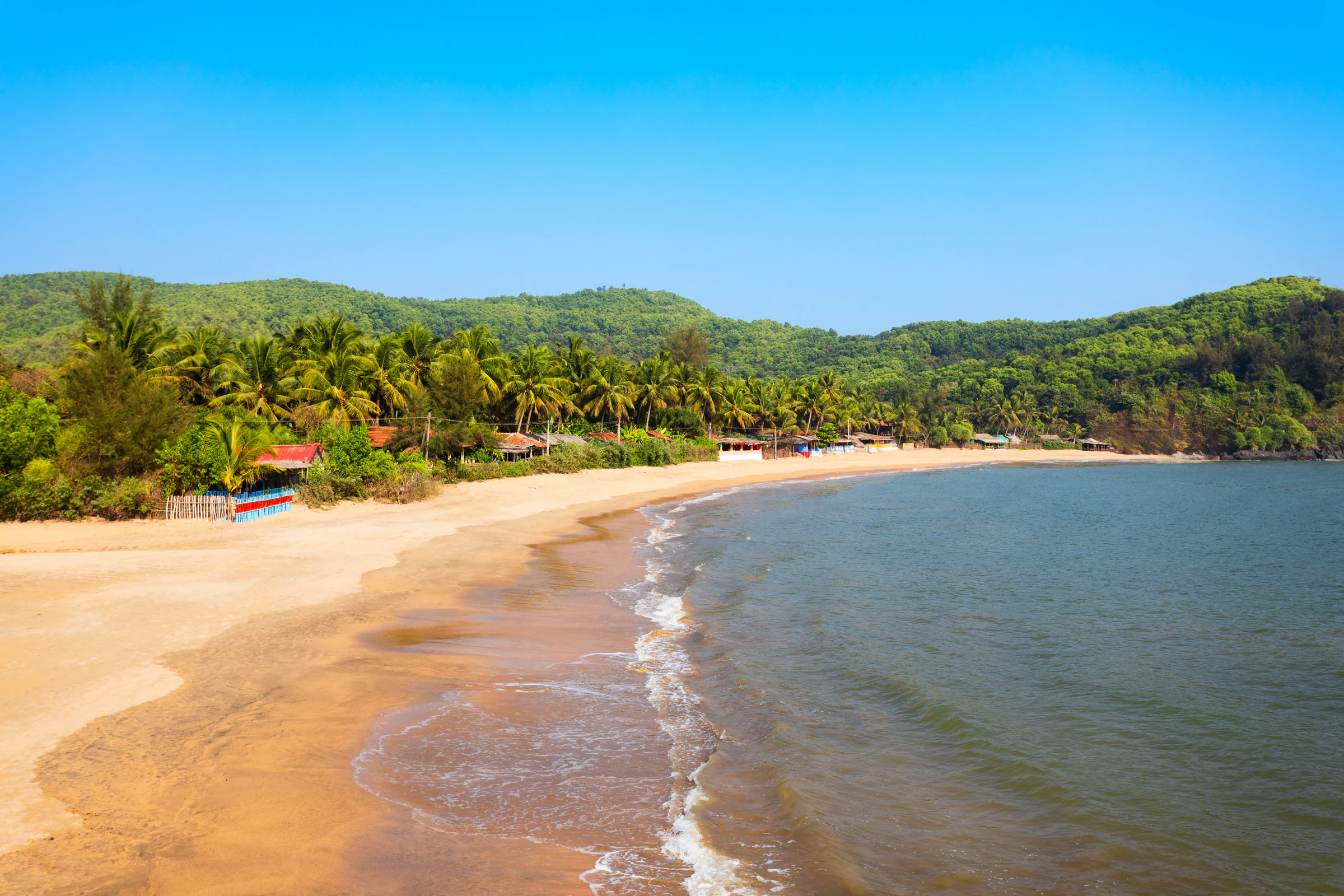 Om Beach in Gokarna, a curve of sand with palm-covered hills behind
