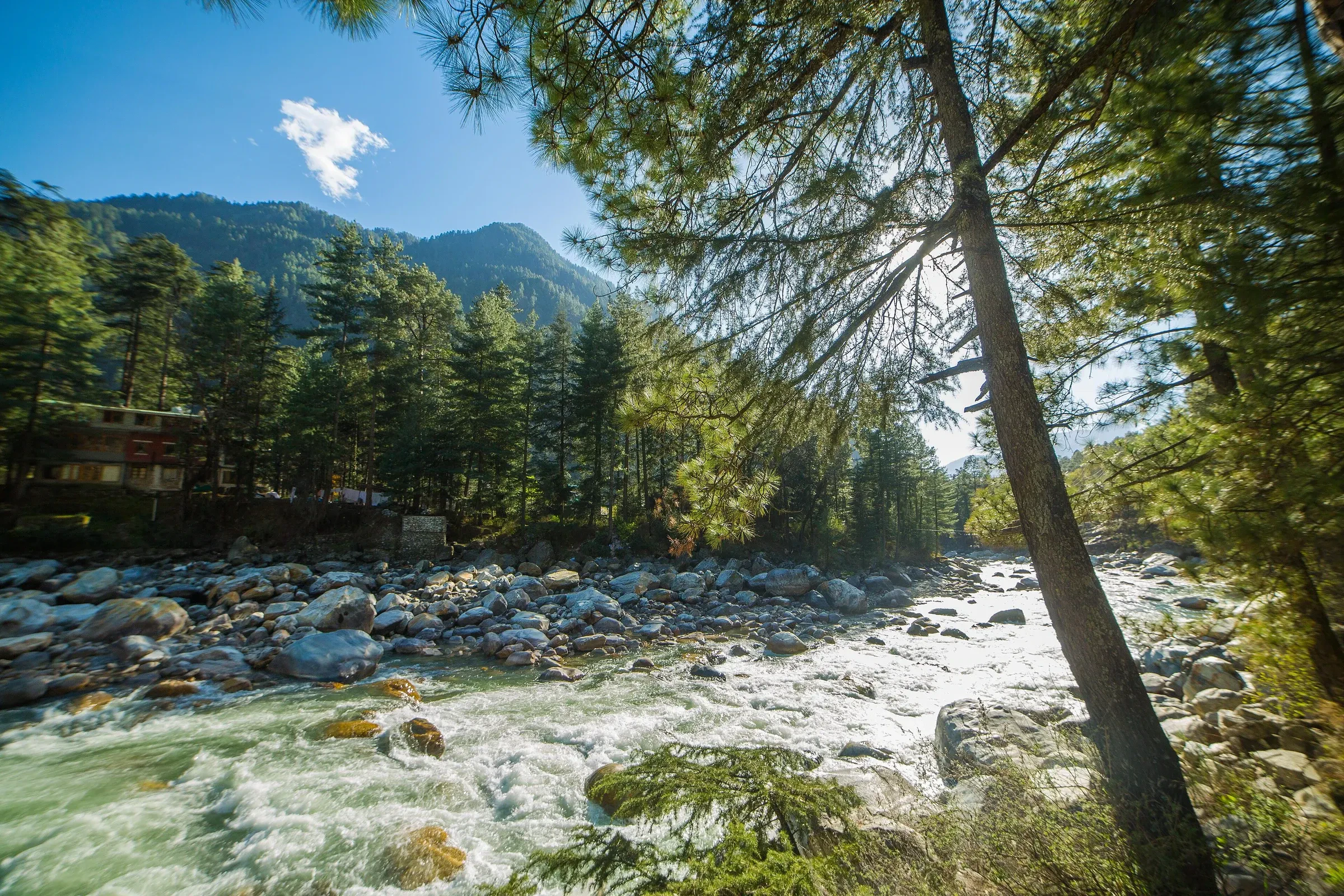 The Parvati river flowing fast between forested slopes at Kasol