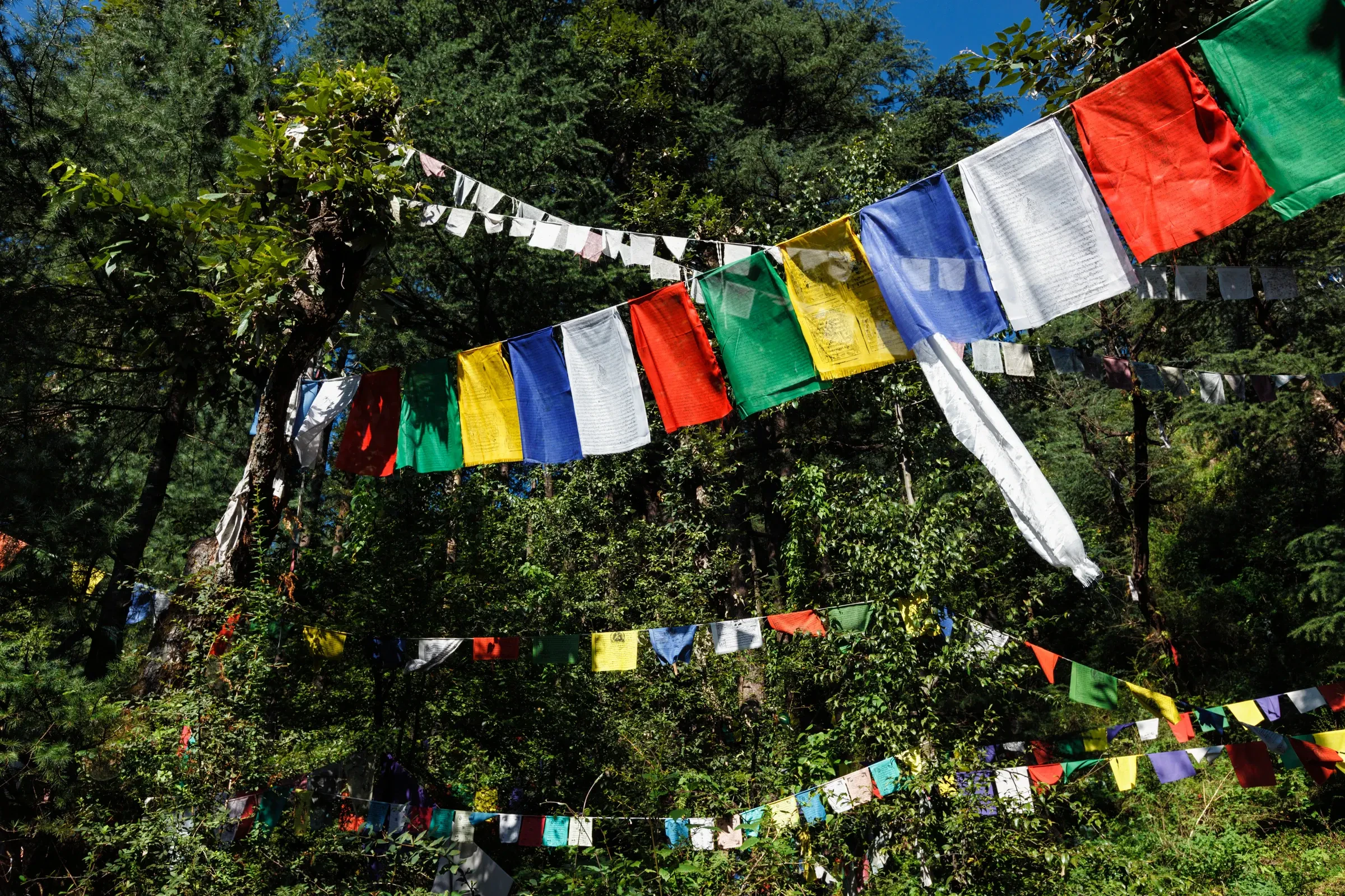 Buddhist prayer flags strung up in McLeod Ganj, Himachal Pradesh