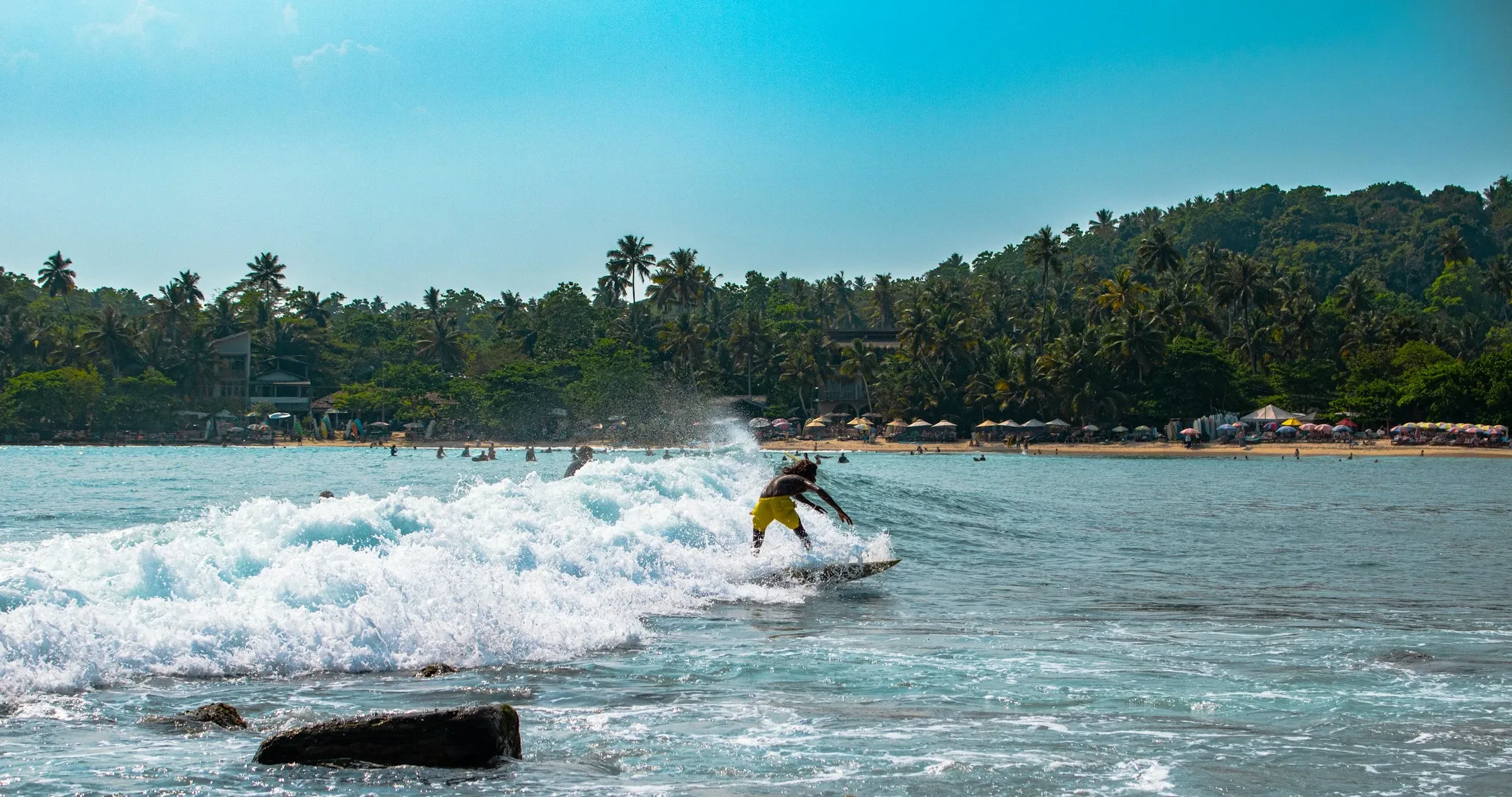 A surfer riding a small wave in Hiriketiya bay, with palm-covered shore behind
