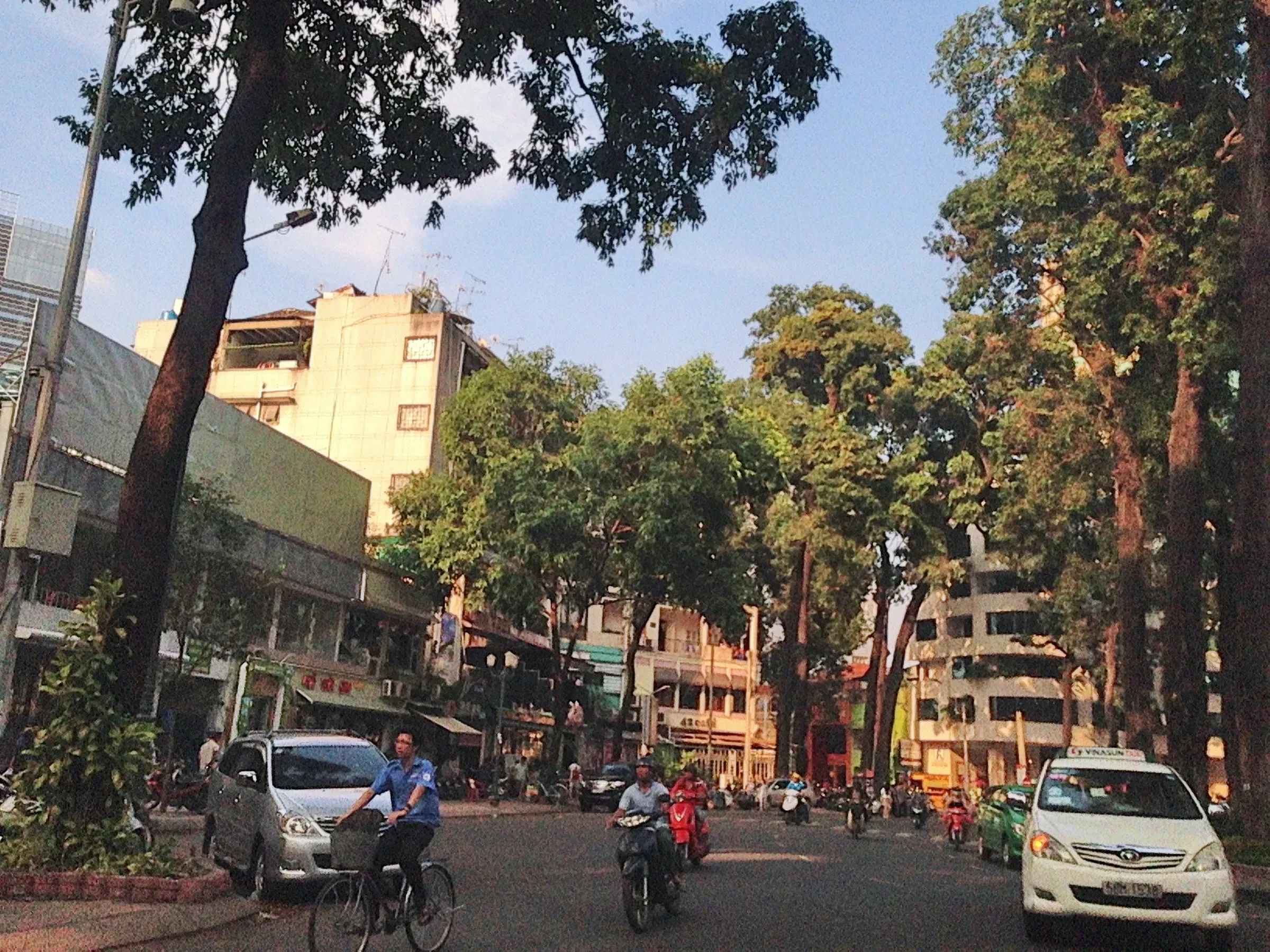 A tree-lined street with motorbikes and cars in District 3, Ho Chi Minh City
