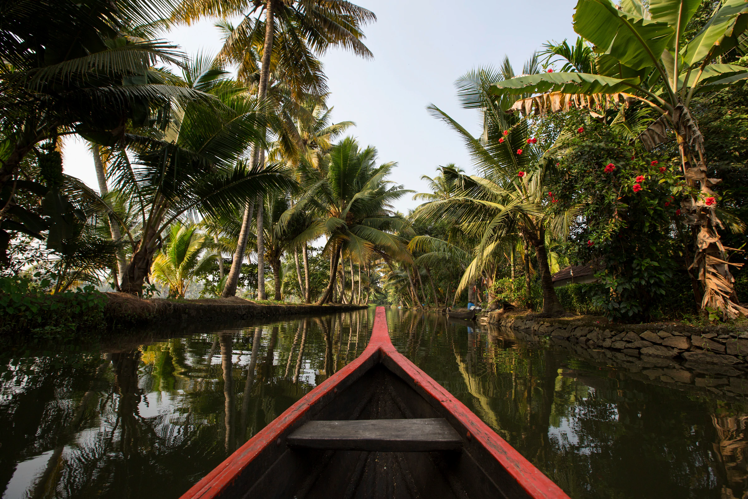 A wooden canoe on a palm-lined backwater in Kerala