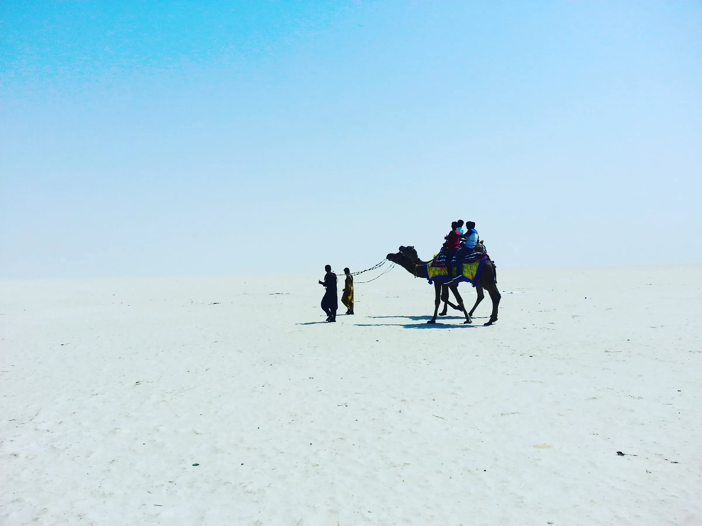 A camel with riders crossing the white salt flats of the Great Rann of Kutch