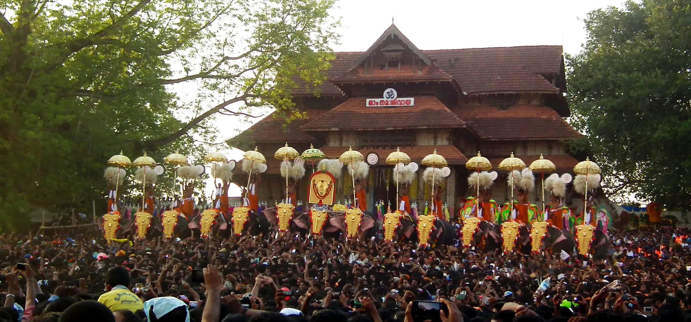 The Kudamattam line-up of caparisoned elephants in front of Vadakkunnathan Temple, Thrissur Pooram