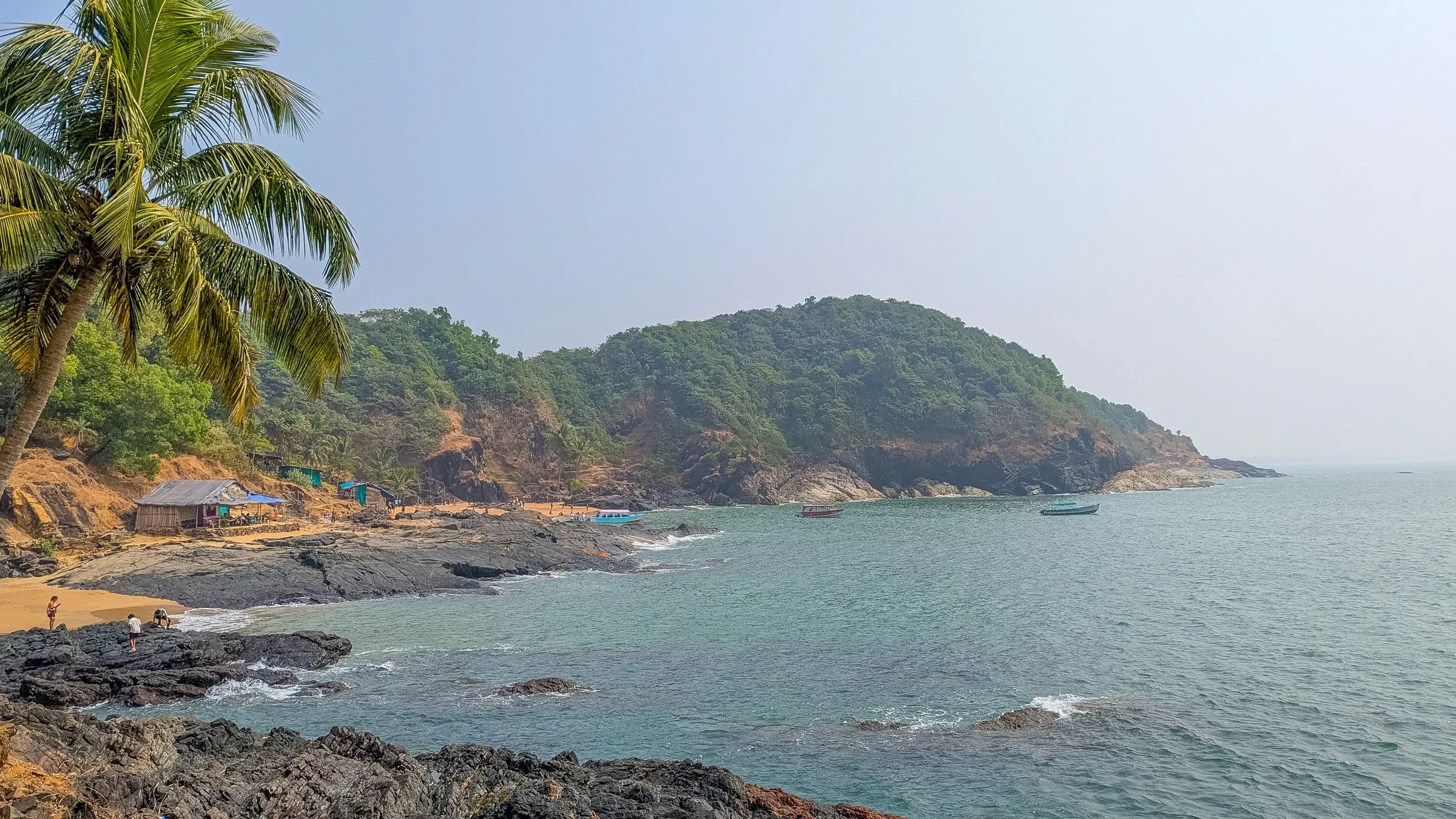 A palm and rocky shoreline on the Paradise Beach trail near Gokarna