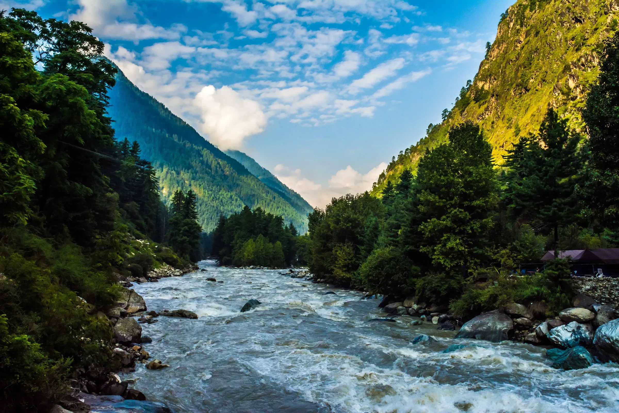 The Parvati river running through pine forest near Kasol, Himachal Pradesh