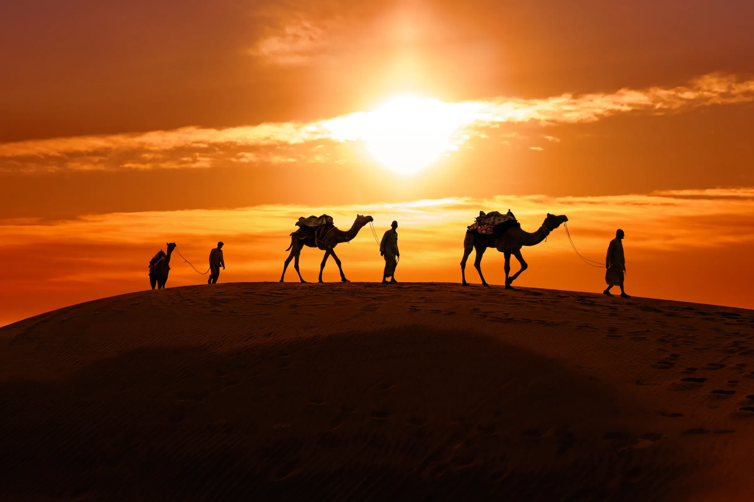 Camels and their handlers walking along a Thar desert dune at sunset, near Jaisalmer