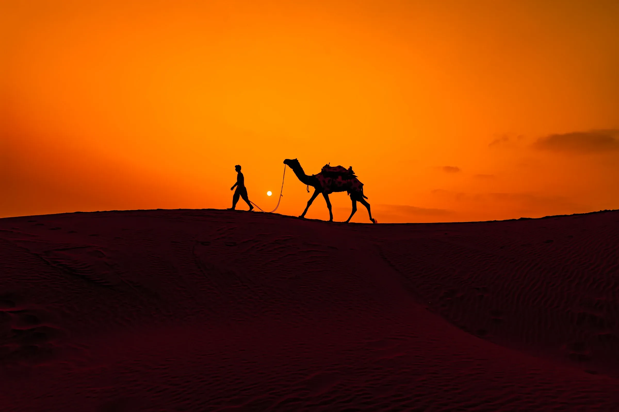 A camel and its driver silhouetted at sunset on a Thar Desert dune