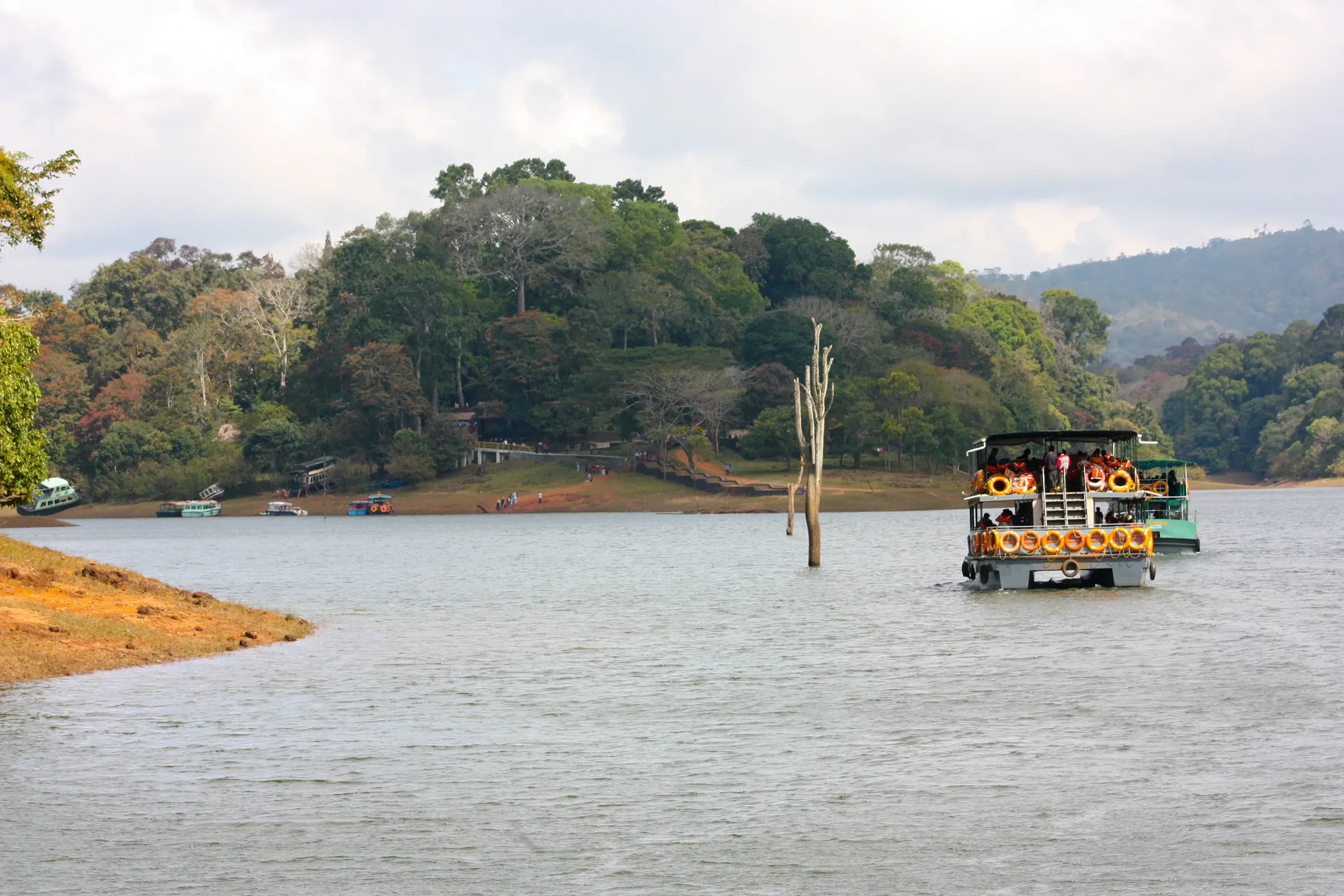 Periyar Lake in Periyar National Park, Thekkady, with forest around the shore