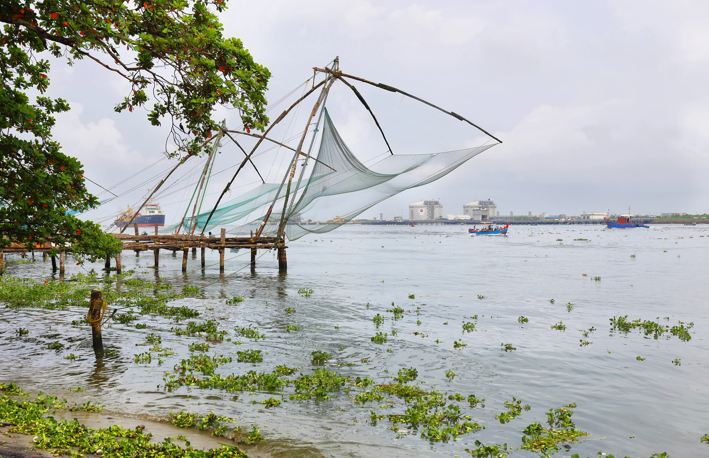 The Chinese fishing nets at Fort Kochi silhouetted against the evening sky