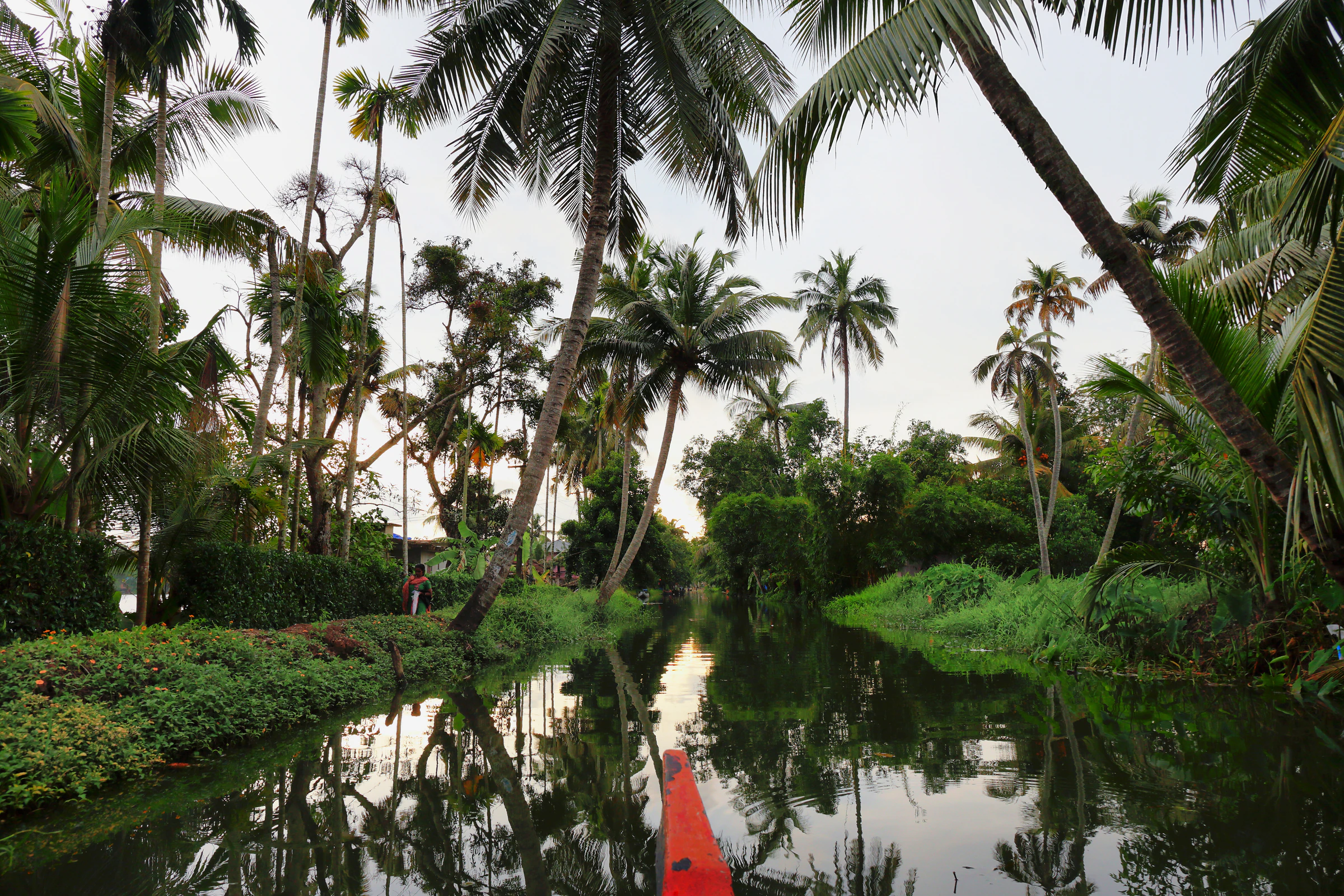 The Alappuzha backwaters, where Kerala's Onam-season boat races are held