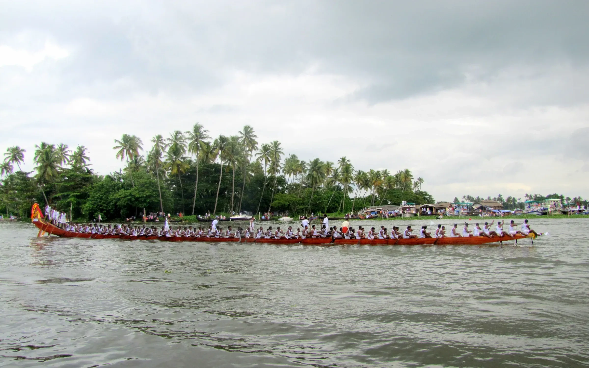 A snake boat racing past palm trees on the Punnamada backwater in Alappuzha