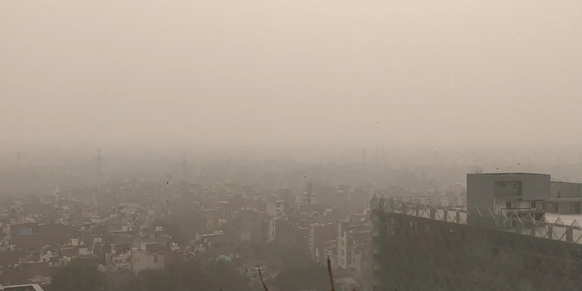Thick smog over the rooftops of Delhi, with the skyline barely visible