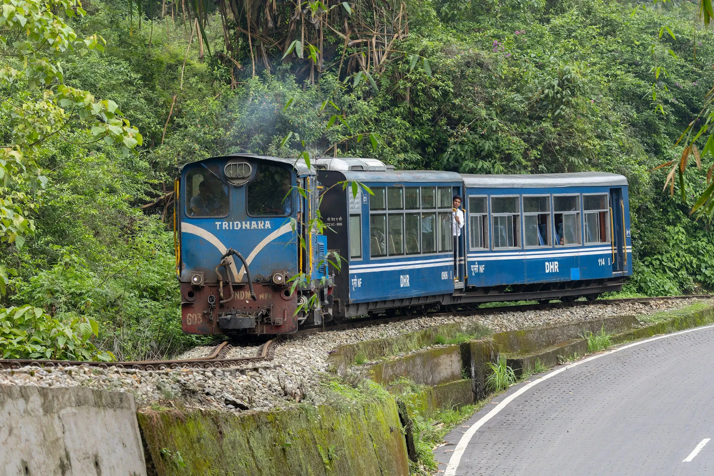 A blue Darjeeling Himalayan Railway diesel train running beside a road through forest near Kurseong