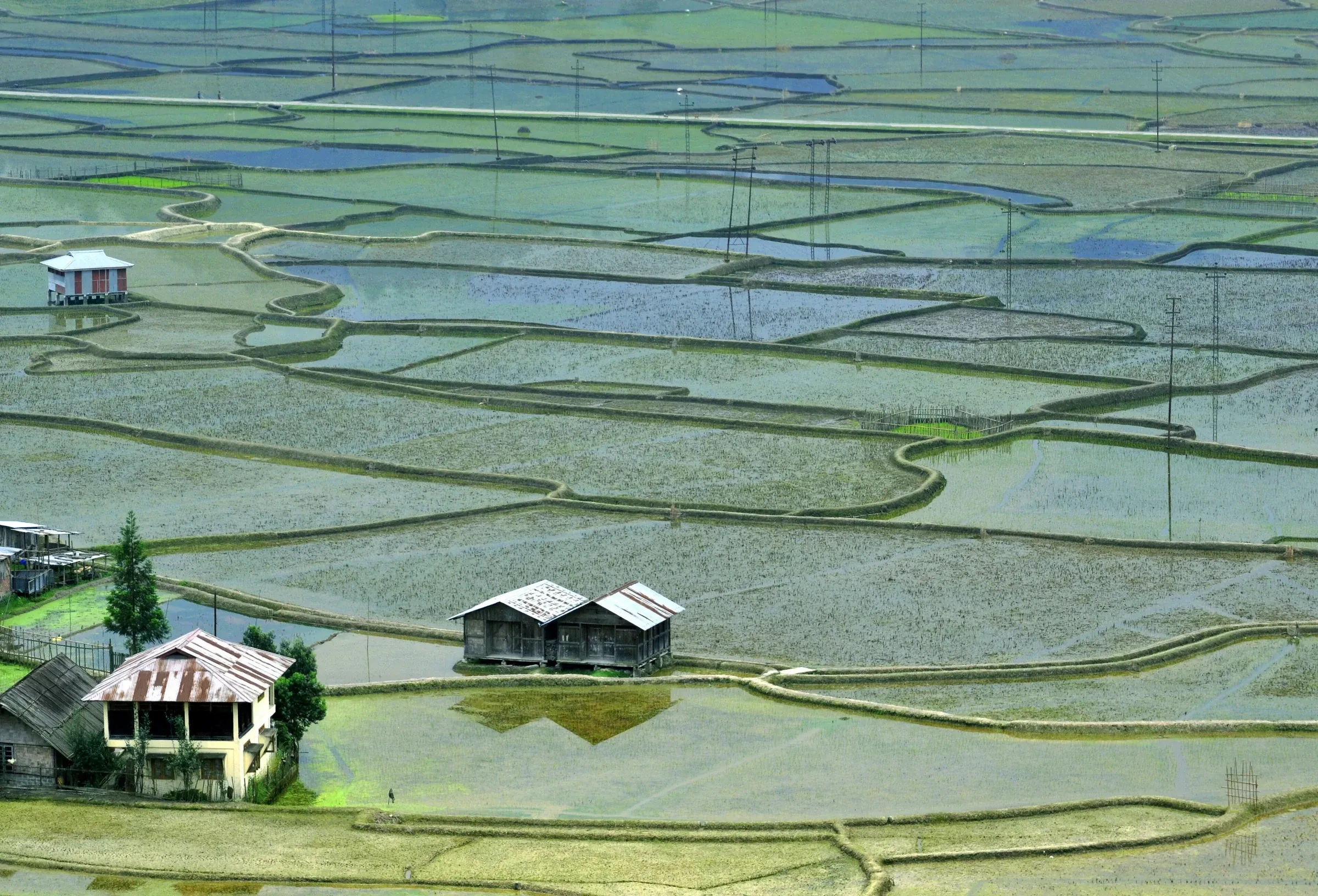 Flooded rice paddies with small farm huts across the floor of Ziro Valley