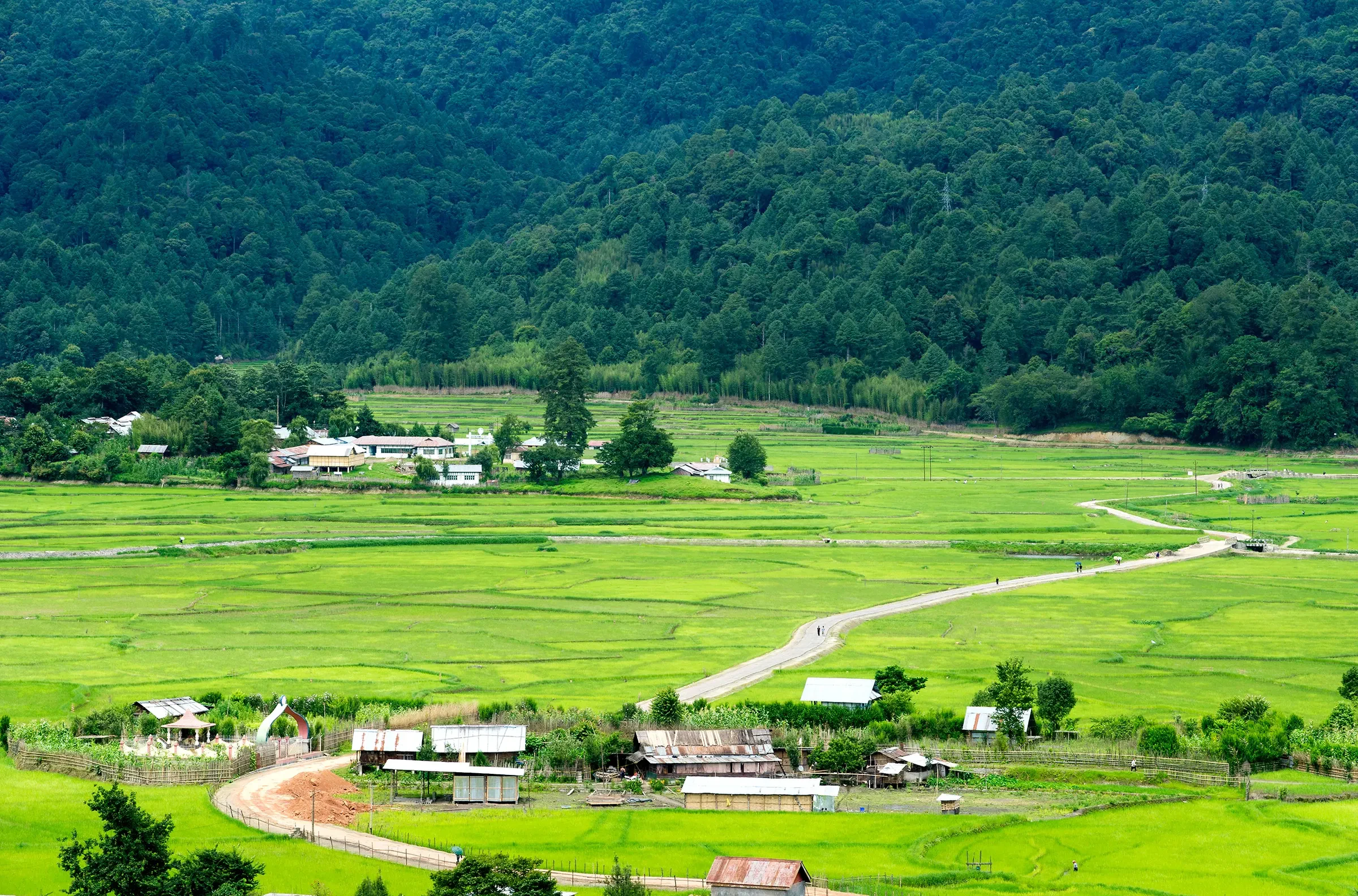 Ziro Valley's rice-paddy floor with the Apatani villages and hills behind