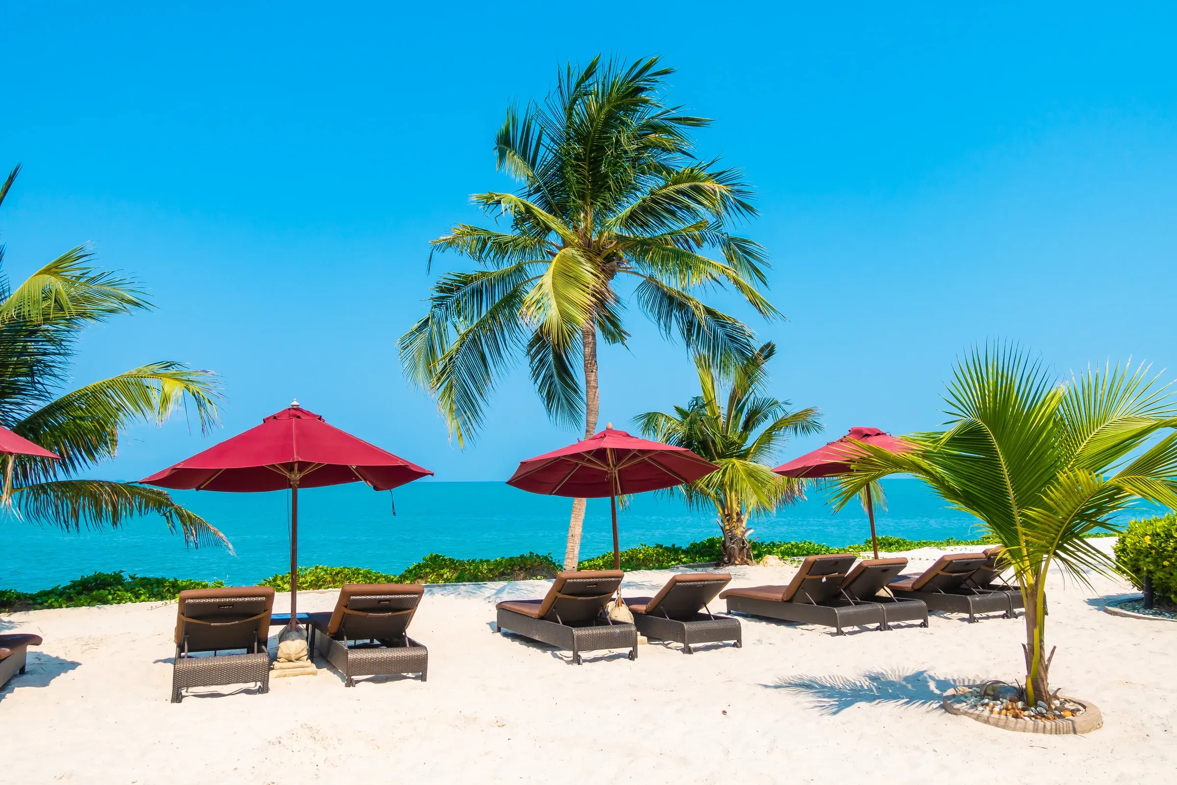 Sun loungers and palm trees along Chaweng Beach on Koh Samui