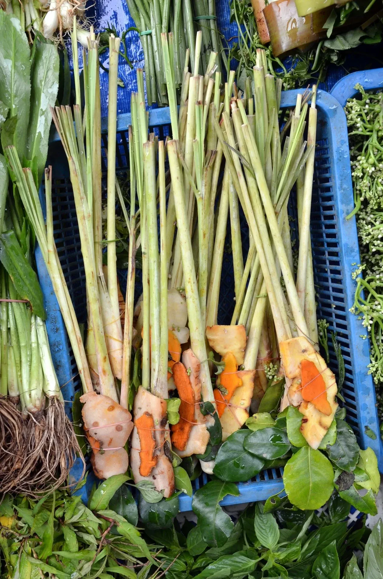 Lemongrass, galangal and herbs bundled for tom yam