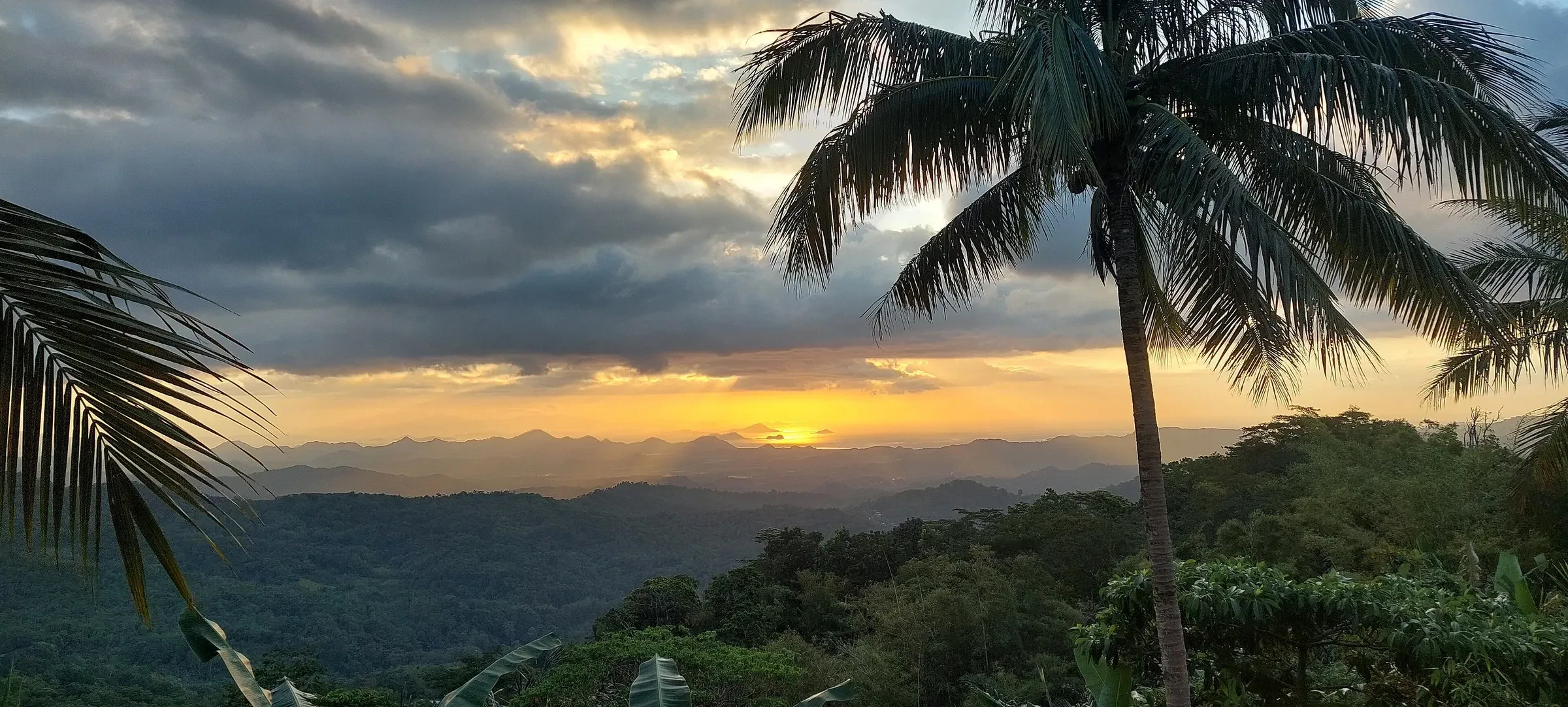 Sunset from a hill near Labuan Bajo, with a palm tree and layered hills on Flores