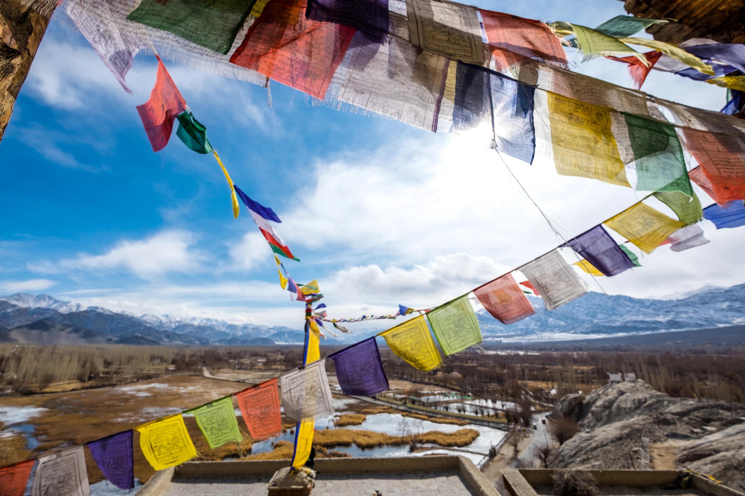 Prayer flags above a Ladakhi monastery under a clear summer sky