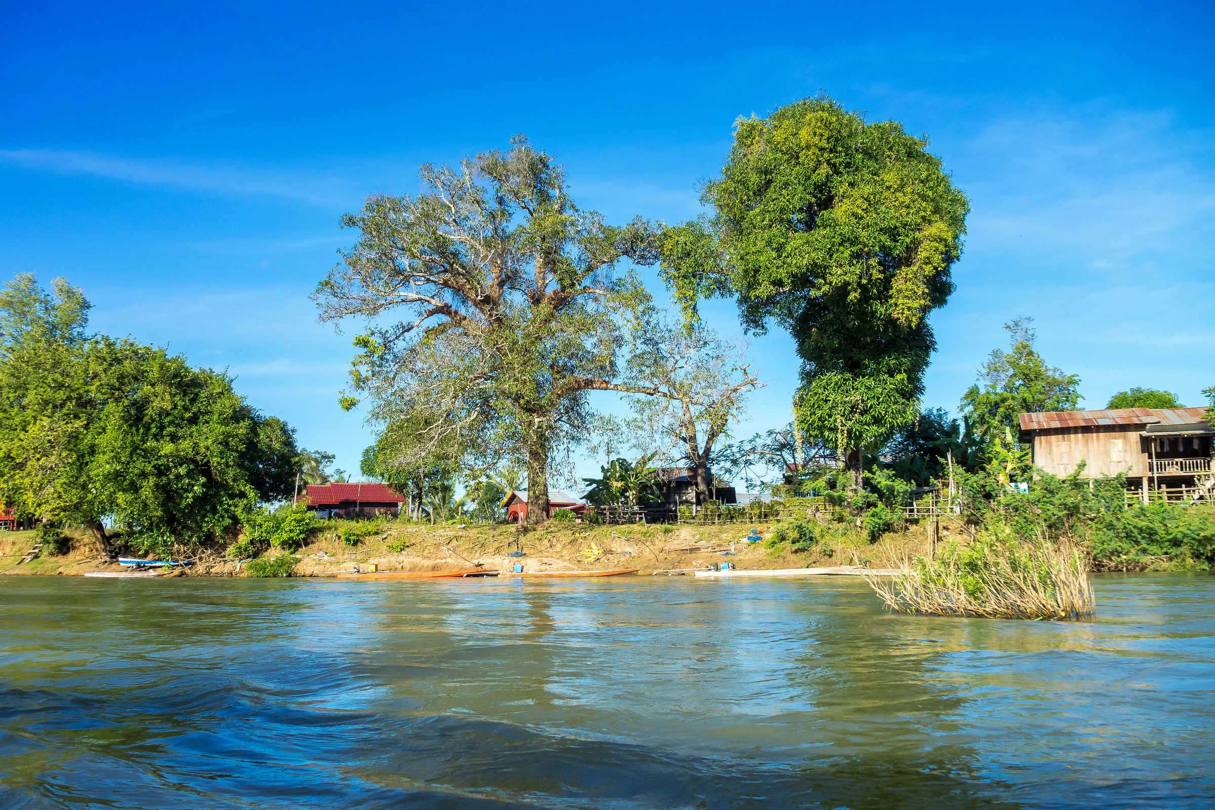 Islands and channels of the Mekong in the 4,000 Islands, near the Cambodian border
