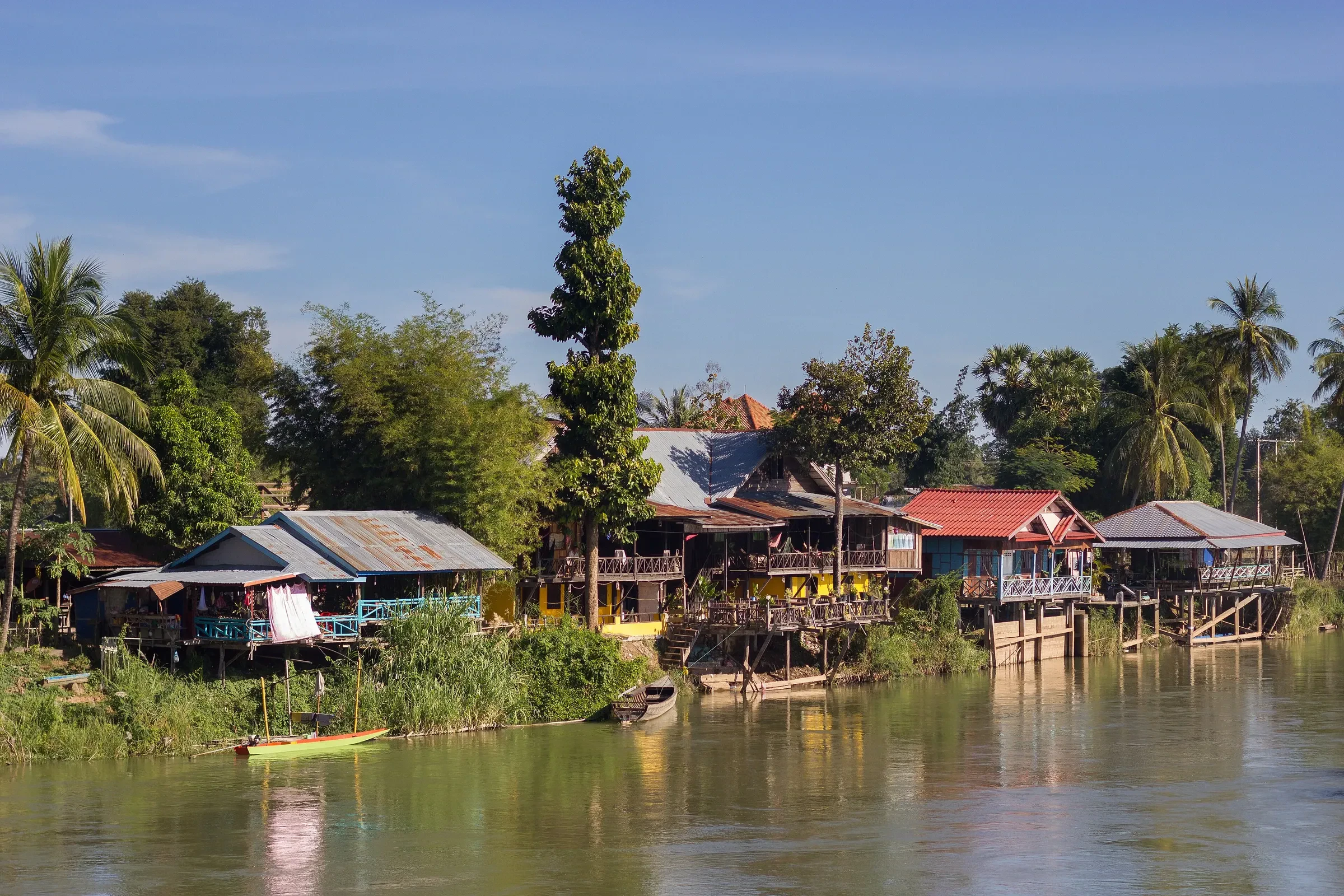 Stilt guesthouses and palms on the Mekong bank of Don Det