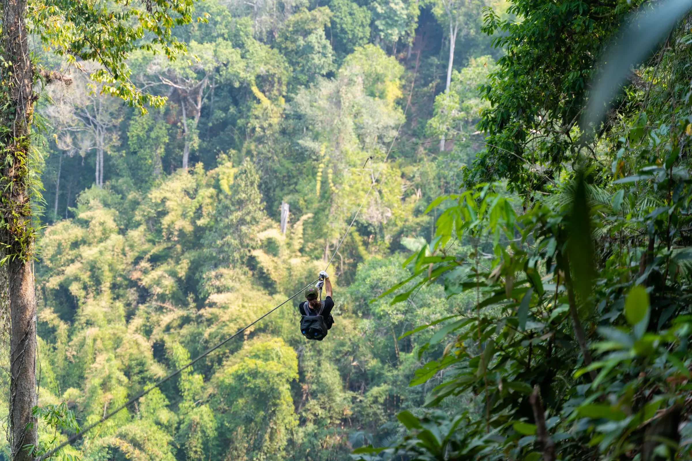 A tourist ziplining over the forest canopy on the Gibbon Experience in Laos