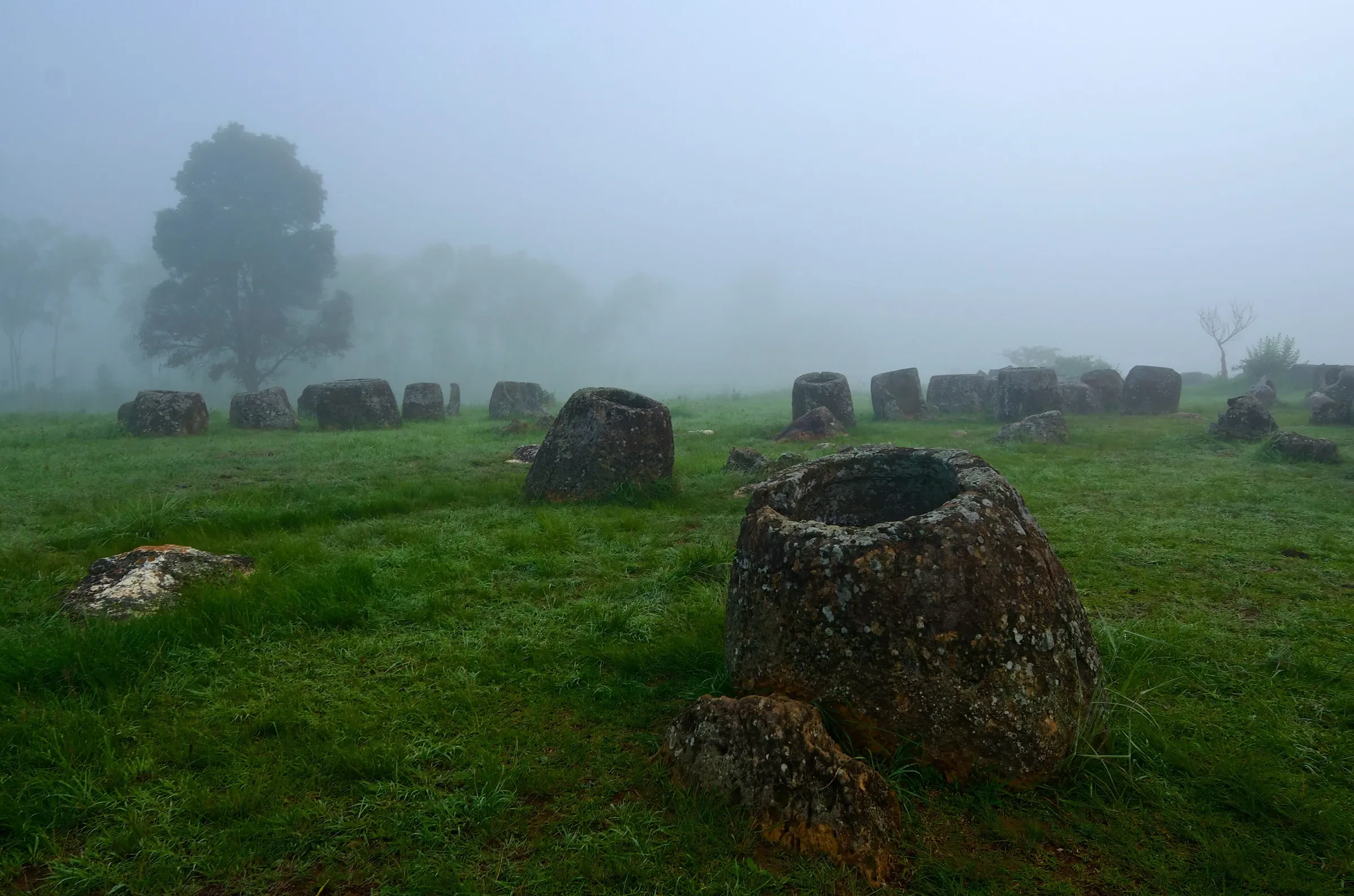 Stone jars standing in misty grassland at the Plain of Jars near Phonsavan