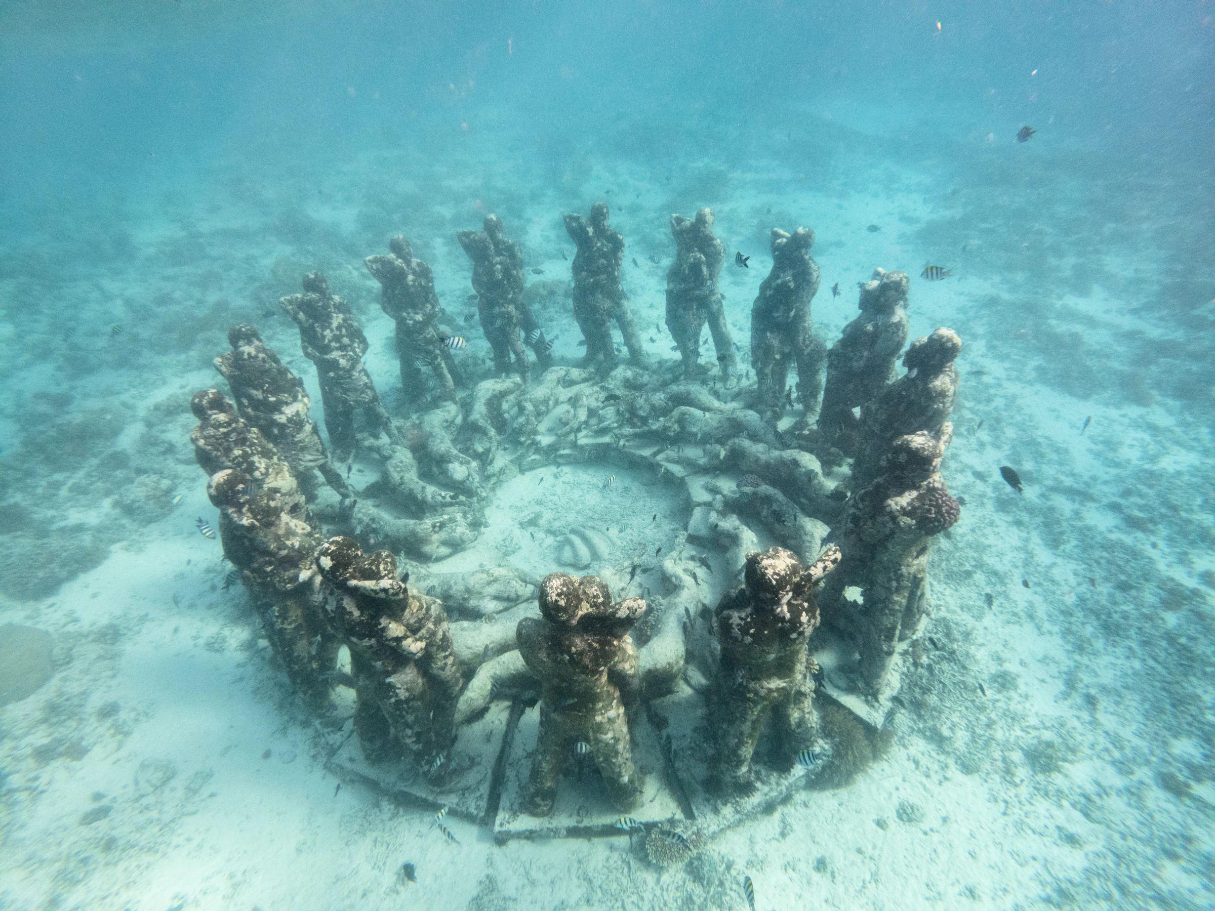 The Nest, a ring of underwater statues off Gili Meno