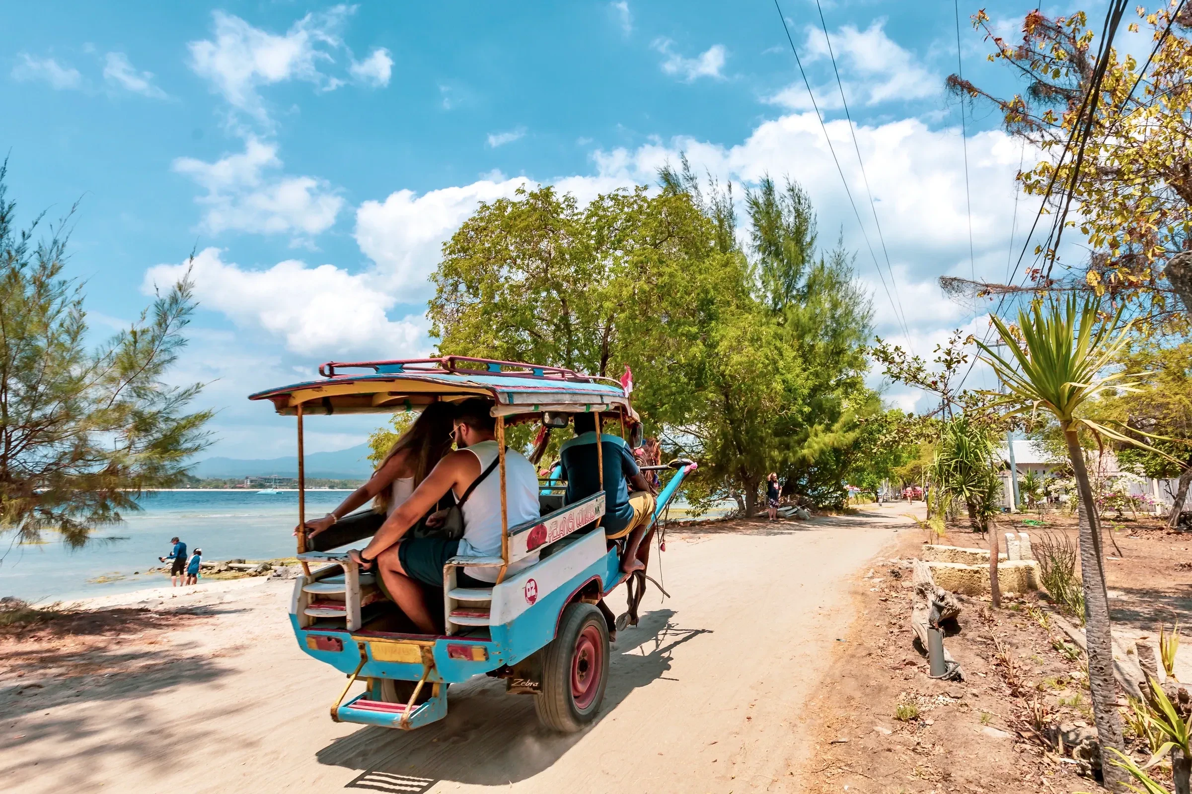 A horse-drawn cart, the local transport on a car-free Indonesian island