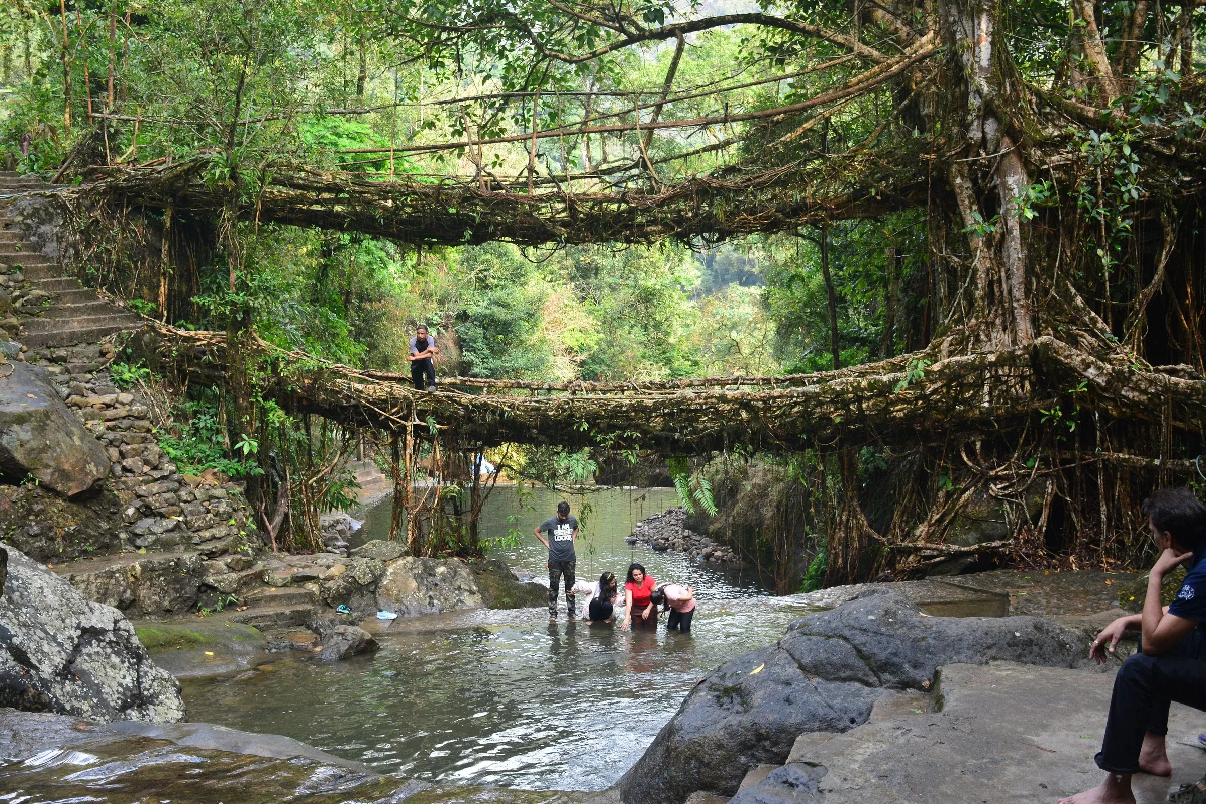 Visitors at the Double Decker Living Root Bridge near Nongriat, Meghalaya